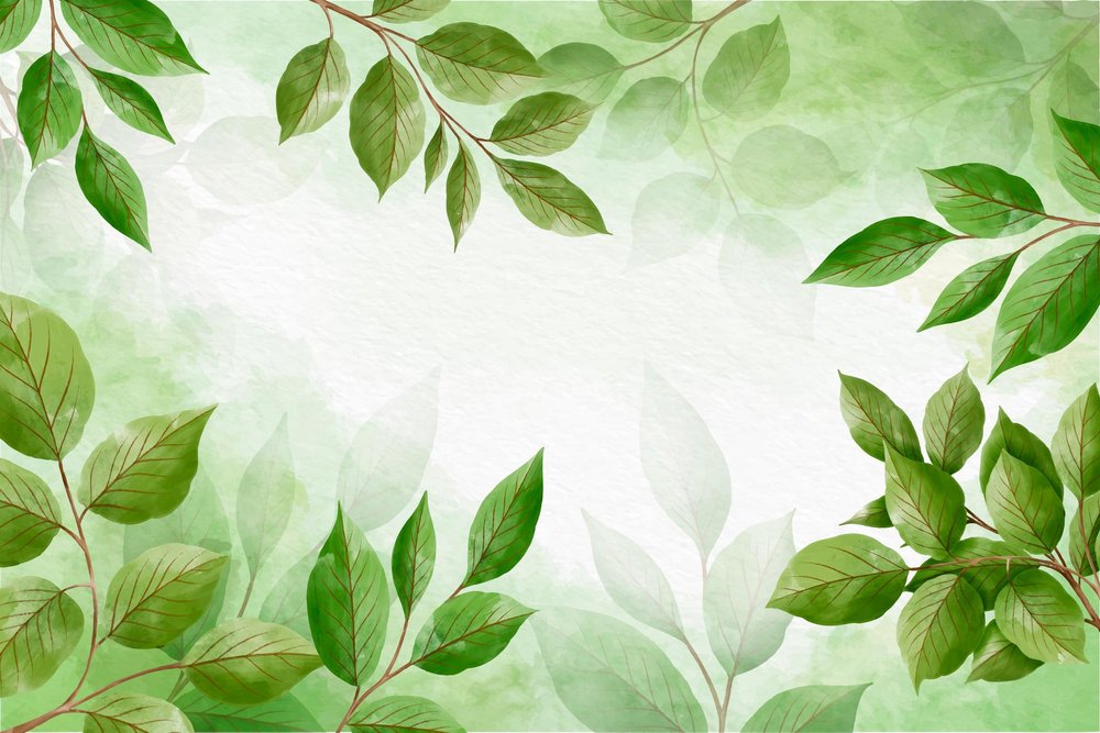 Grounded Roots Therapy Associates LLC