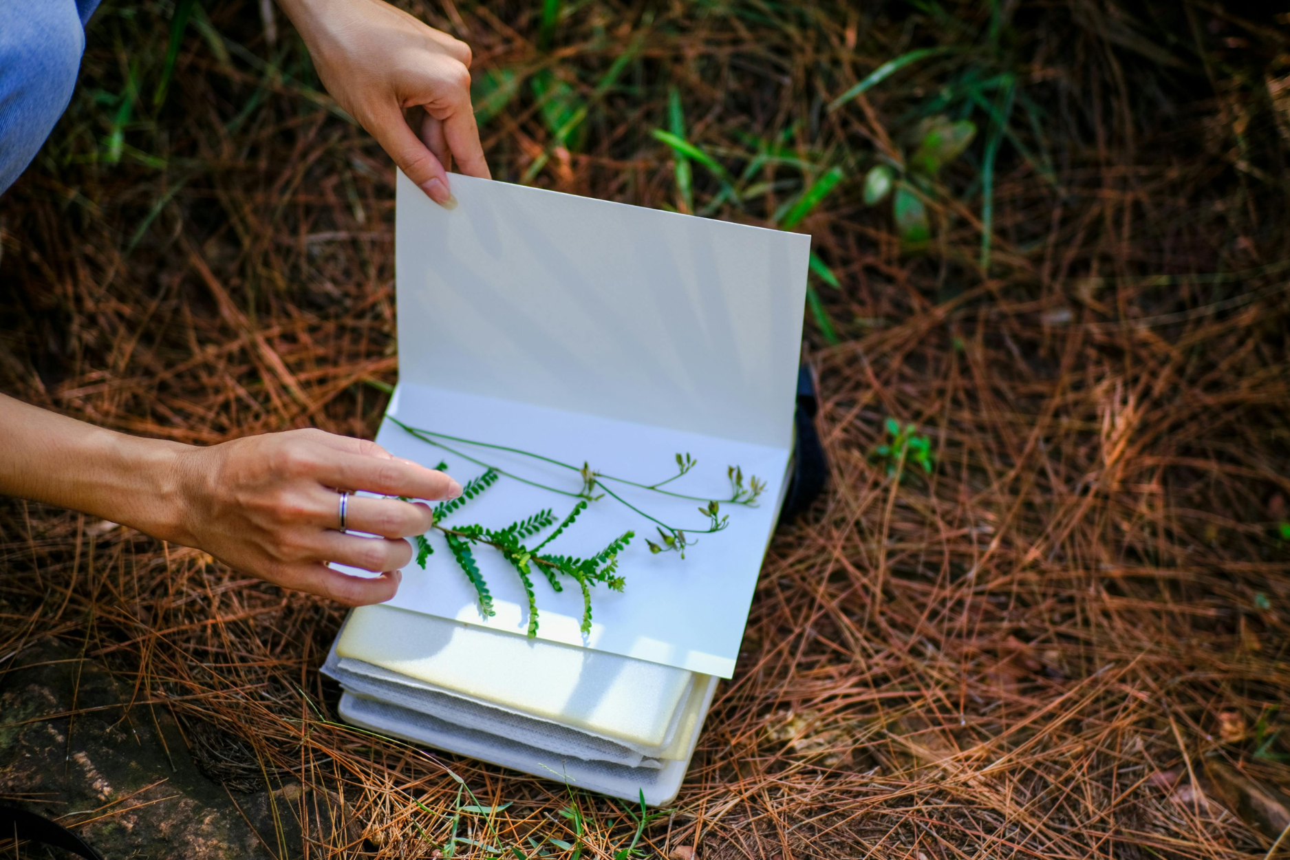 How to Encourage Kids to Love the Outdoors - nature journal pressing flowers