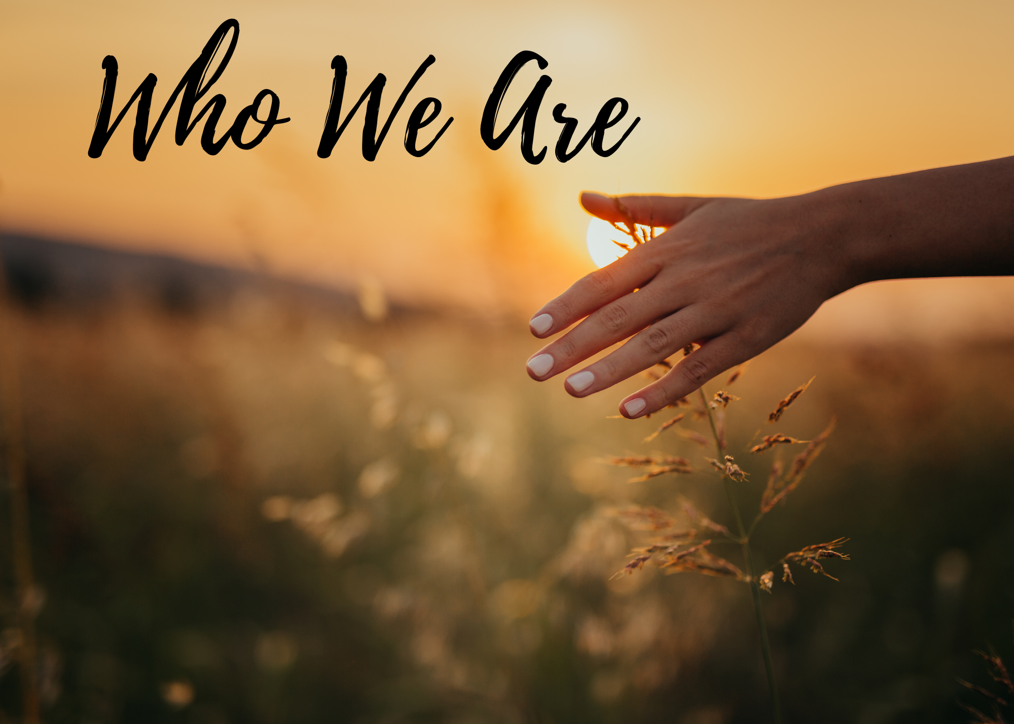 A person holding a sprig of grass in a field during sunset with the phrase "Who We Are" written in large black cursive letters.