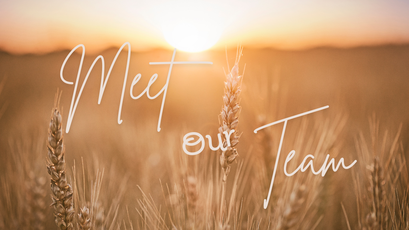 Sunset over a wheat field with the text 'Meet our Team' in cursive font.