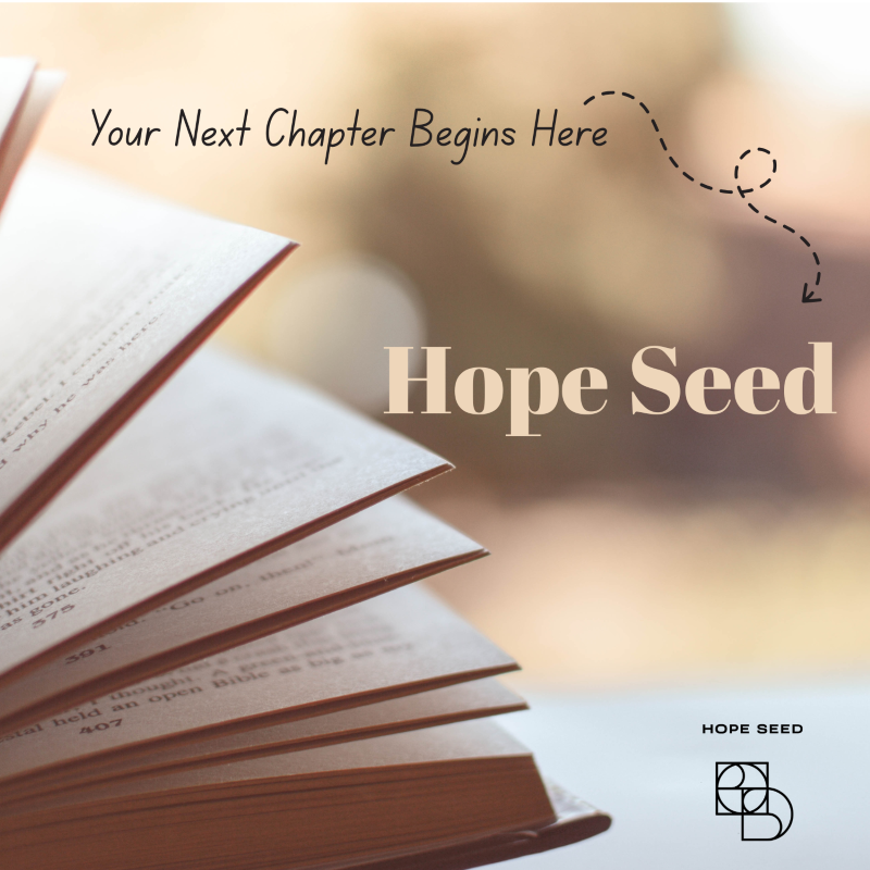 An open book with pages fanned out on a desk, with a blurred background. Text reads "Your Next Chapter Begins Here" and "Hope Seed" in large font. Small logo with the words "Hope Seed" at the bottom right.