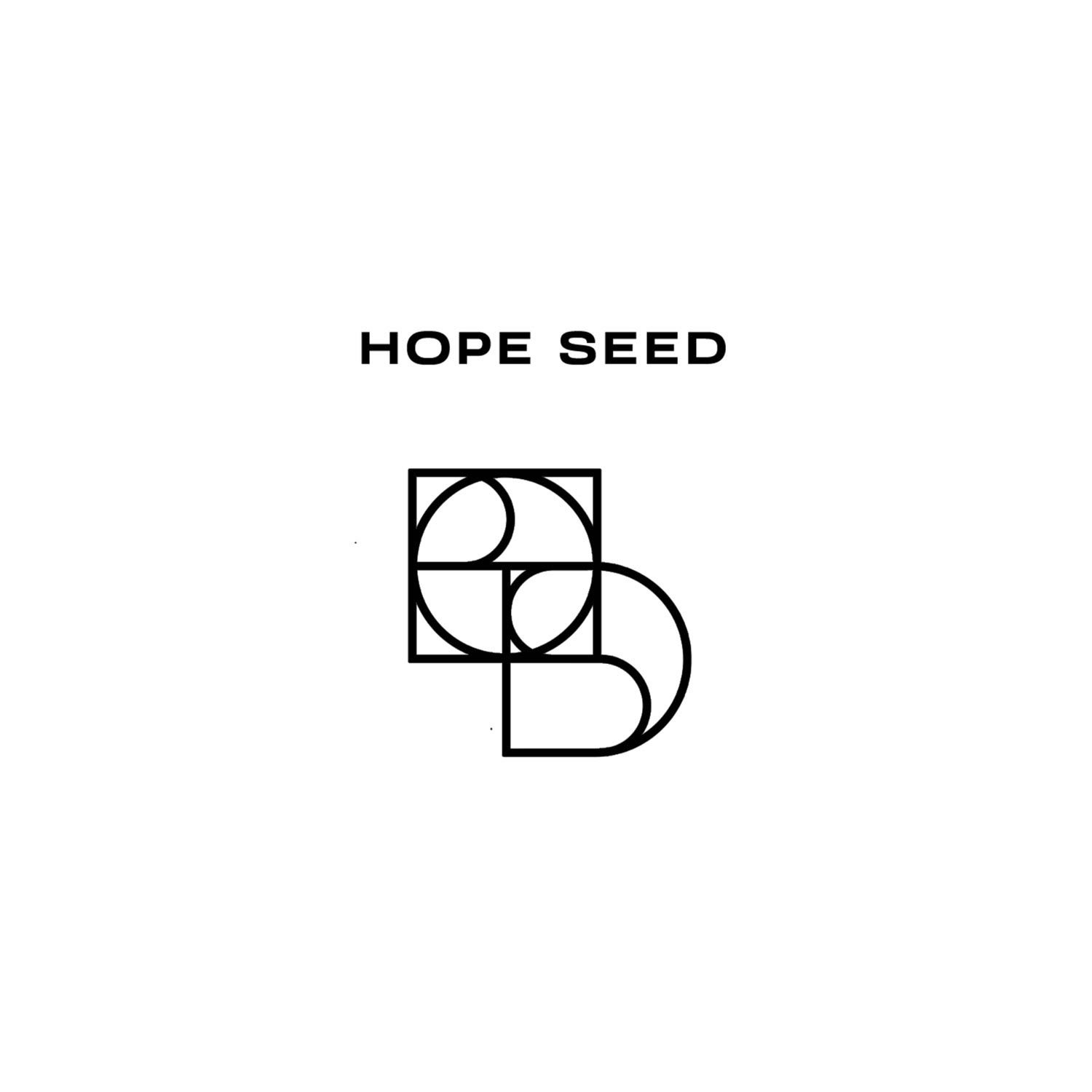 Text says 'HOPE SEED' with a geometric design of a stylized seed below it, featuring interconnected circles and squares.