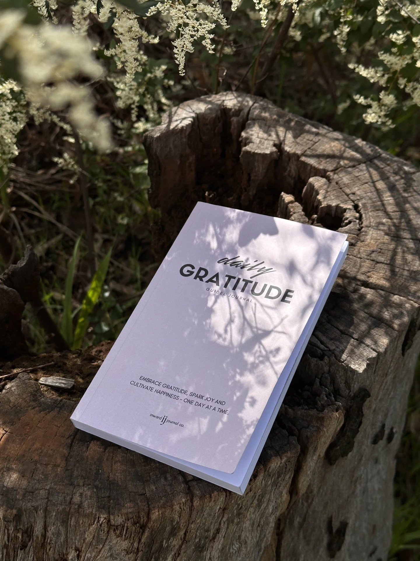 A guided journal titled 'daily GRATITUDE' resting on a tree stump outdoors, with white flowers and green foliage surrounding it.