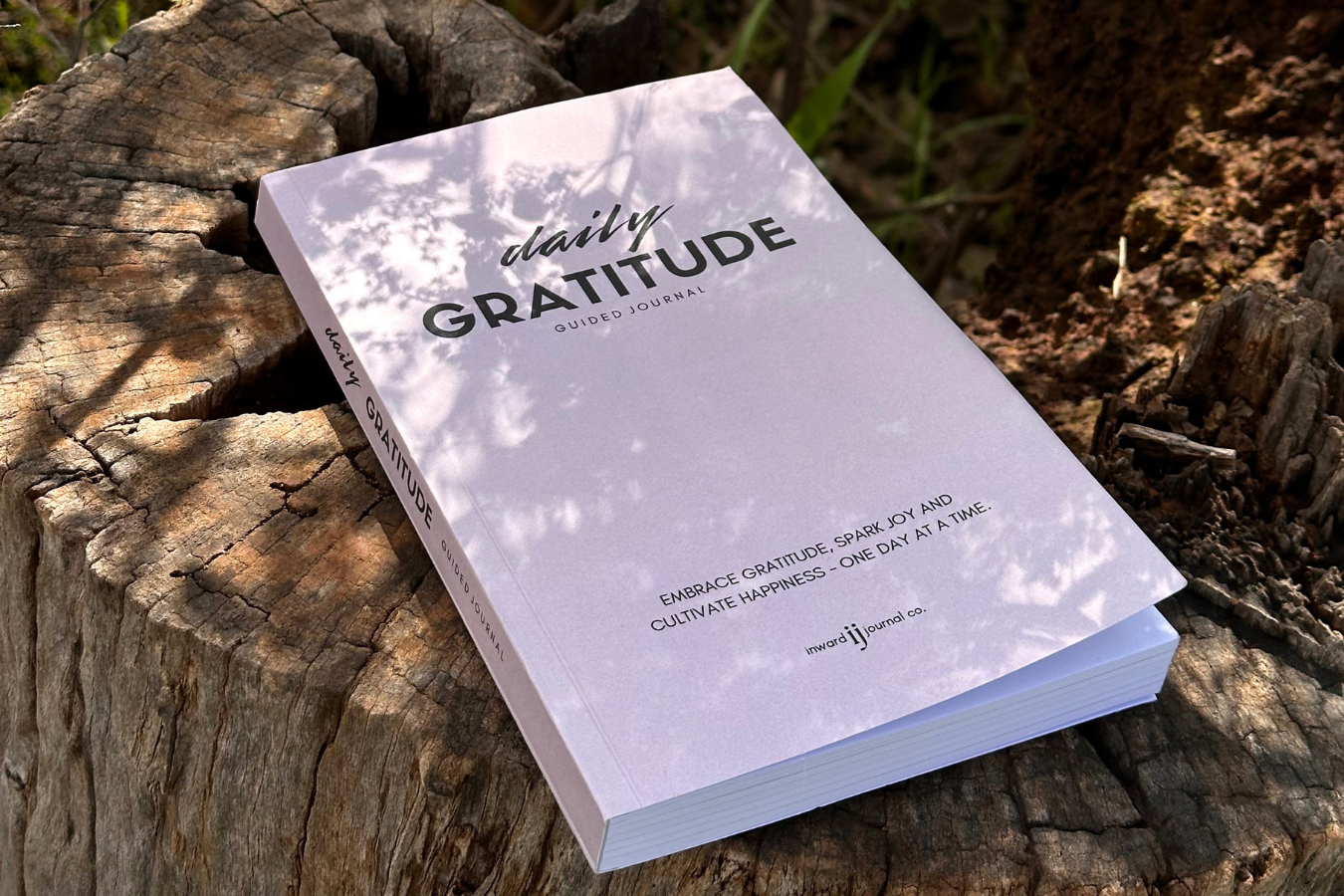 Why Gratitude Journaling Can Change Your Life: Simple Daily Habits for More Happiness and Positivity