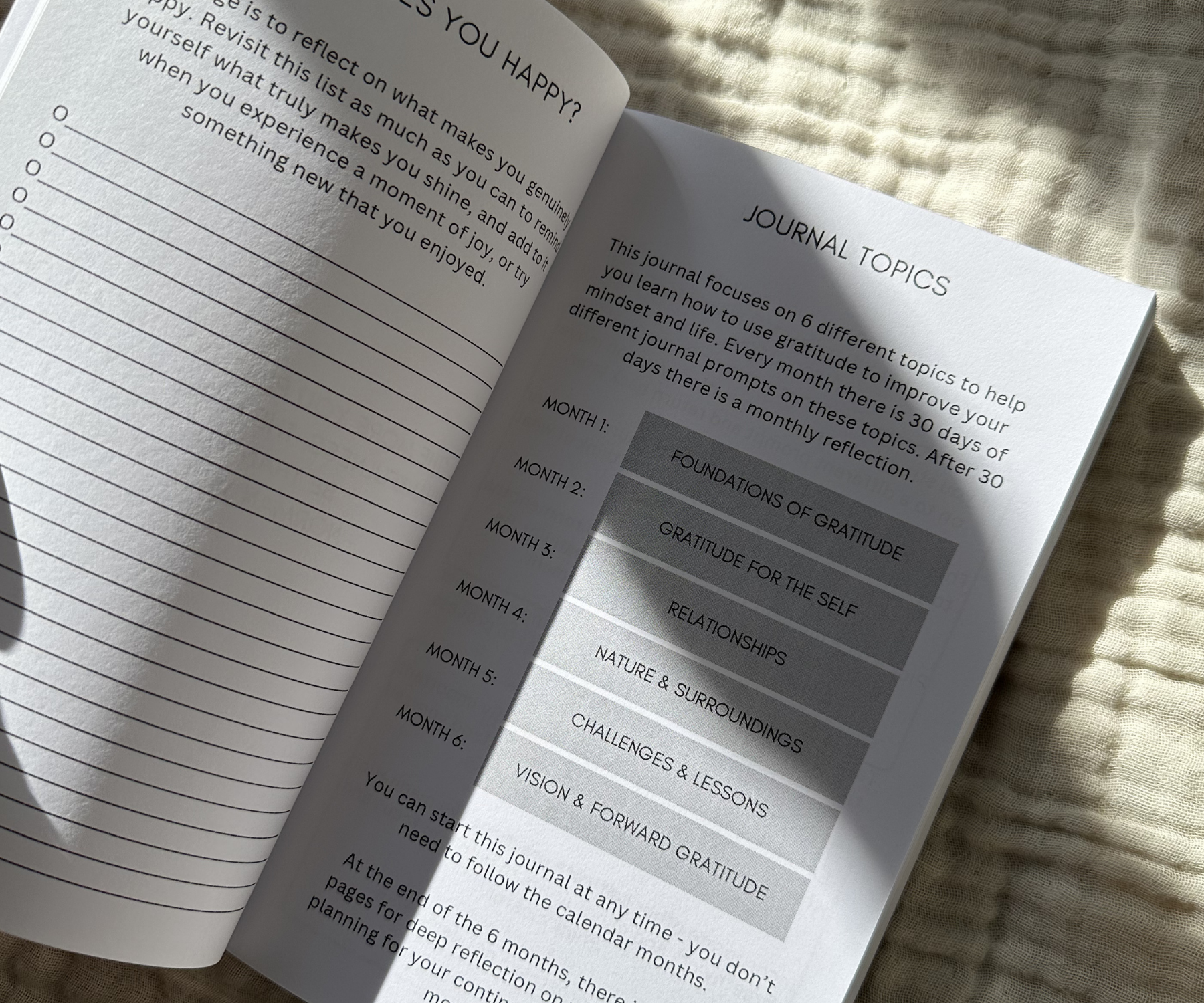 daily gratitude journal topics.png