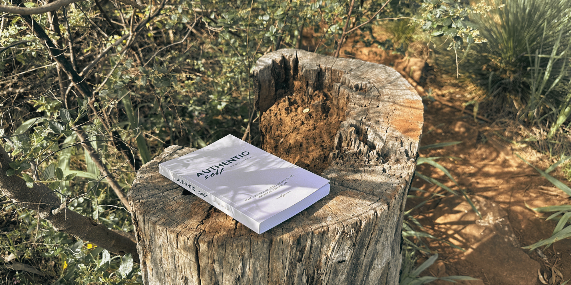 Untitled (2000 x 1000 px) (4).png