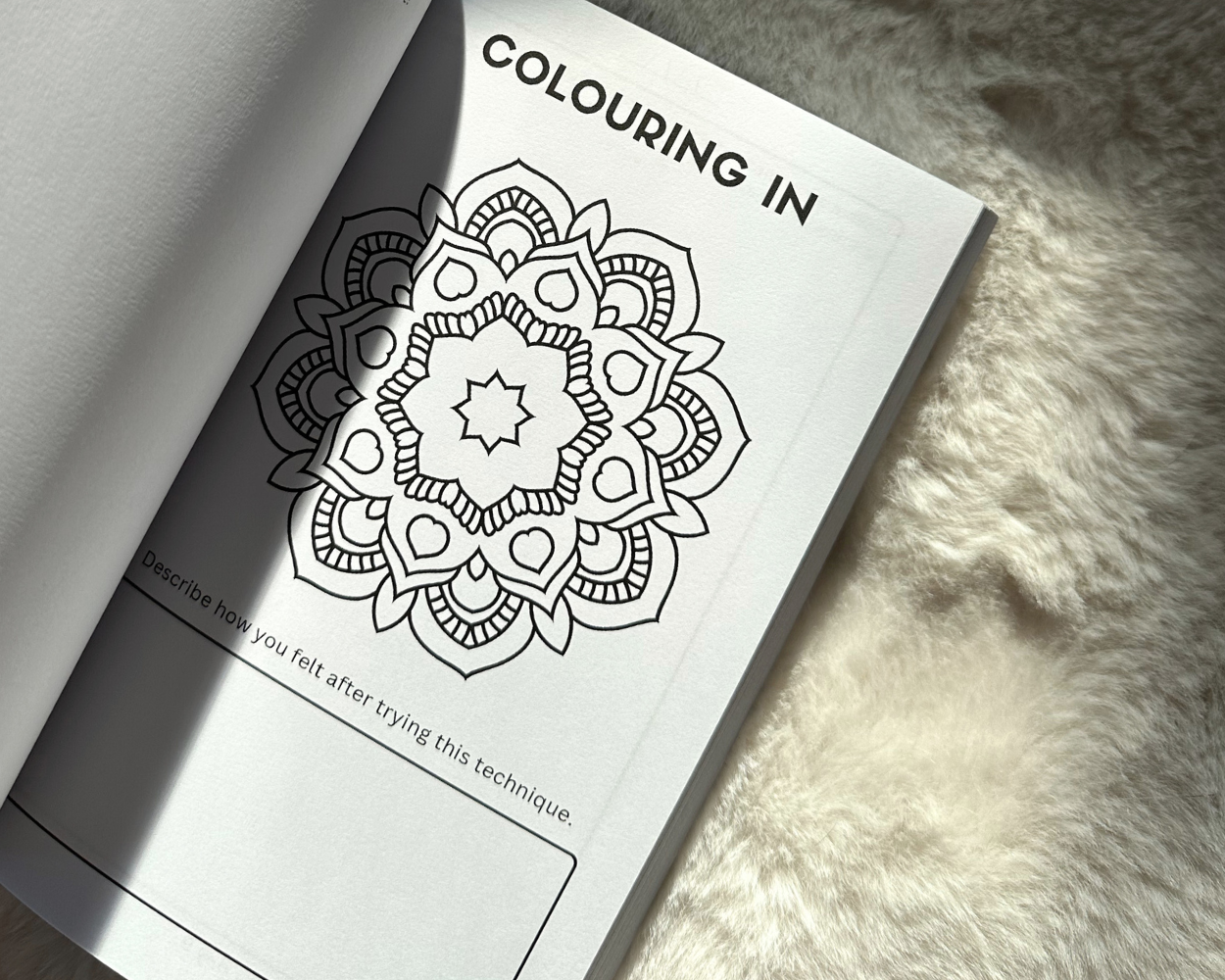 anxiety bundle 6.png