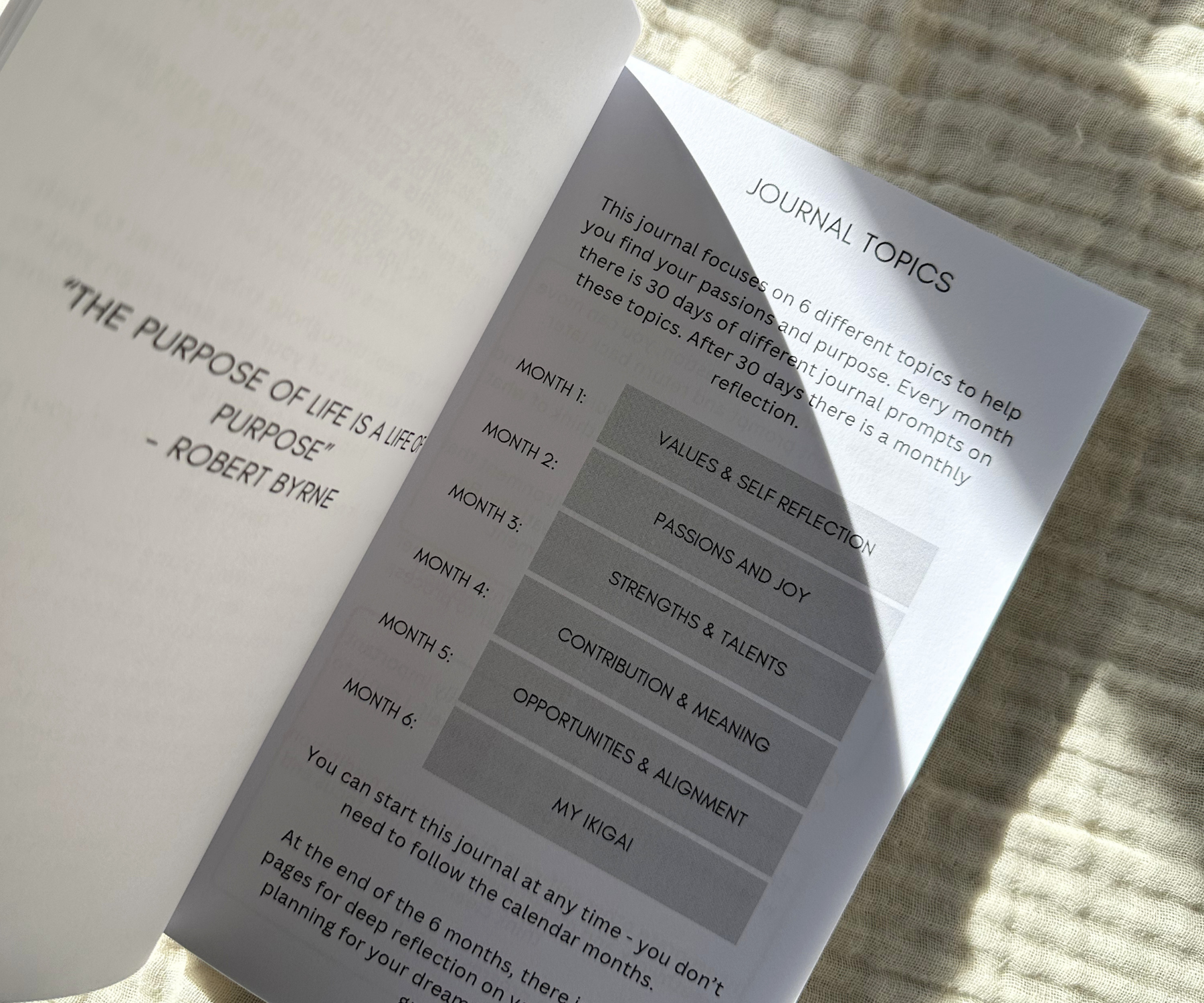 finding purpose journal prompts.png