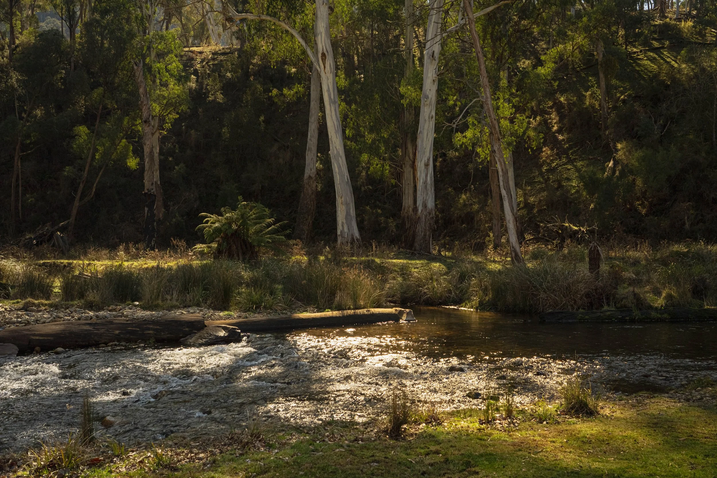 Mansfield Trout Fishing