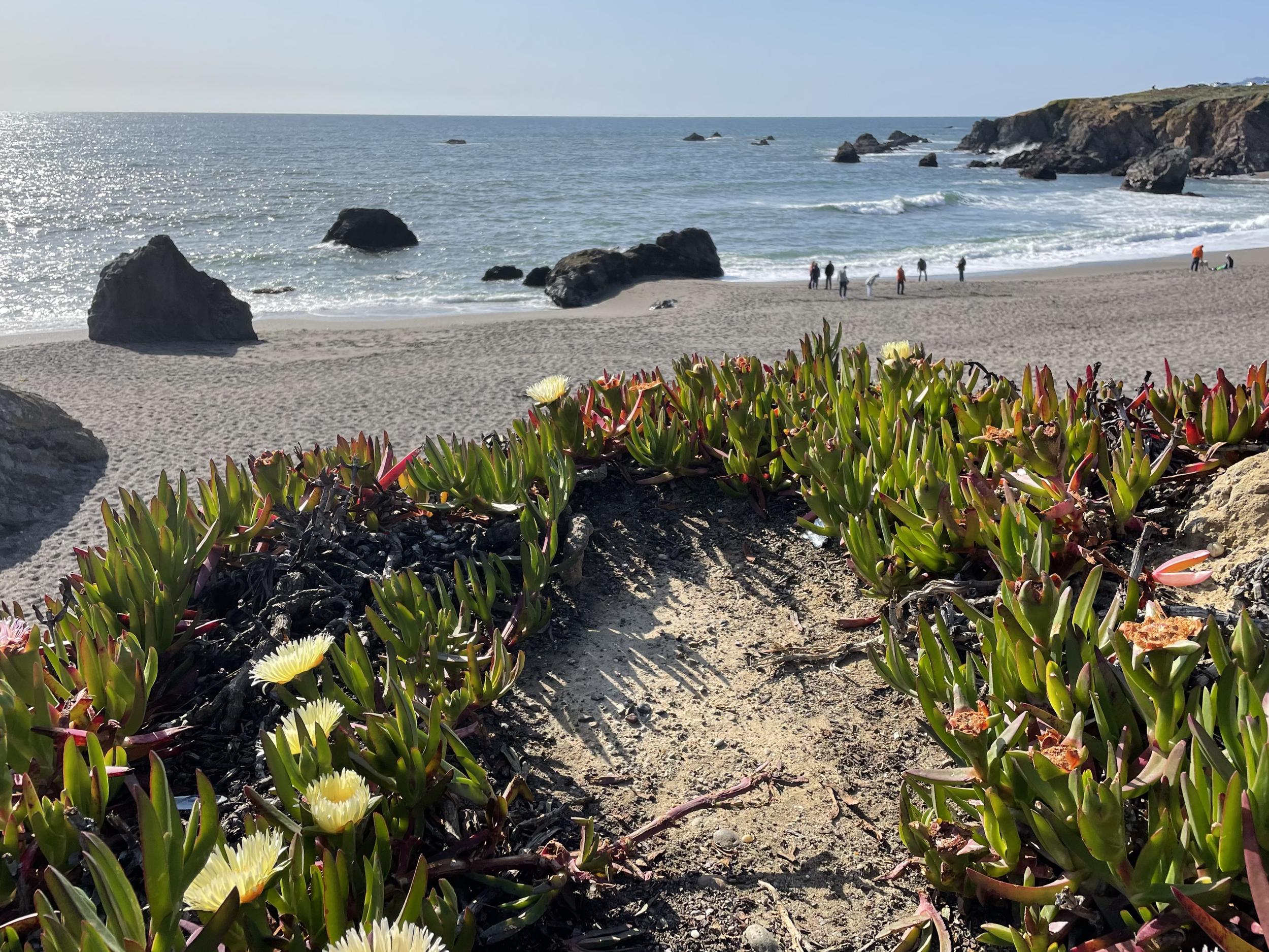 Doran Beach, Bodega Bay, CA