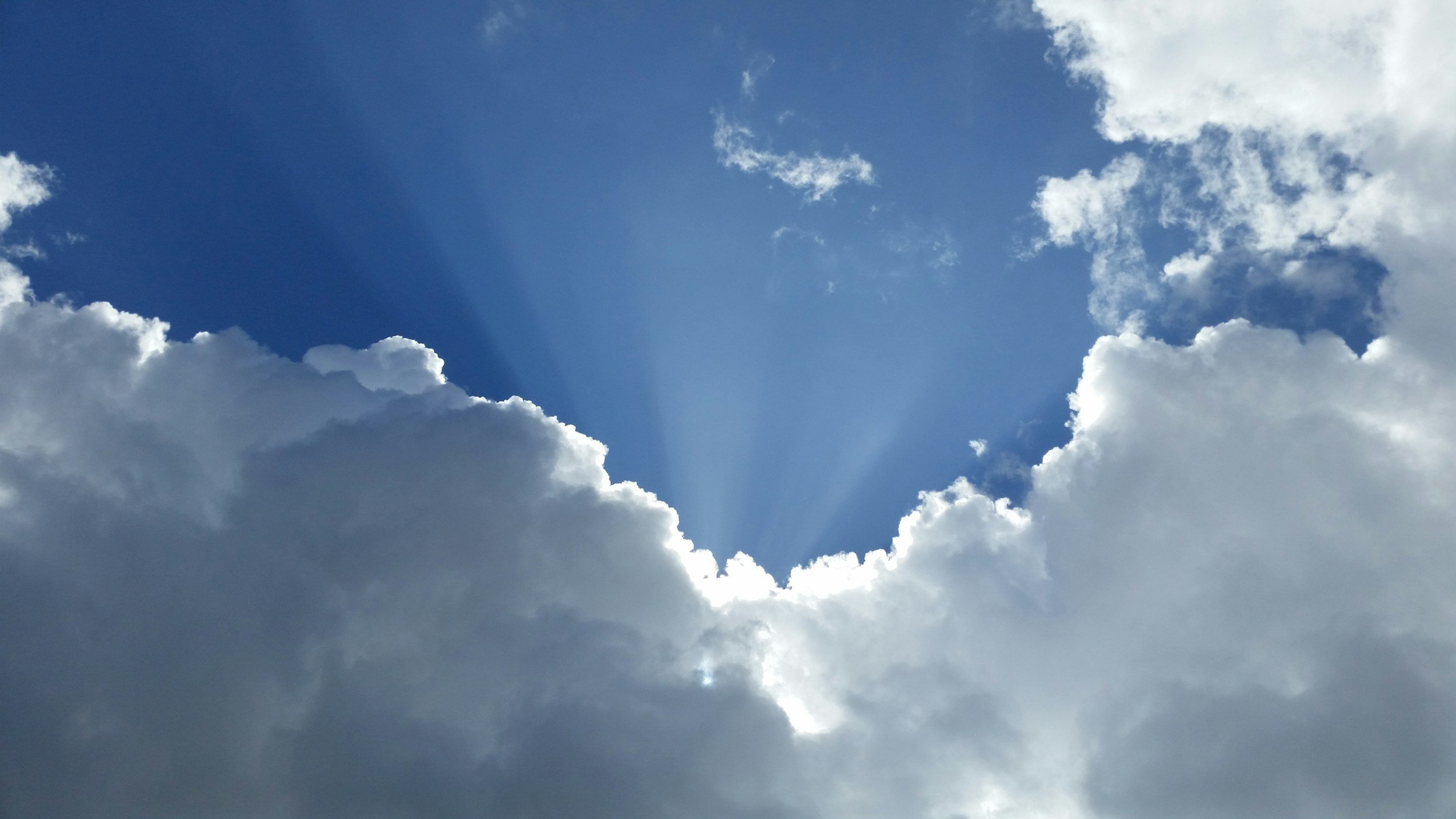 The Afterlife Revealed: What a Departed Soul Taught Me About Oneness and Healing