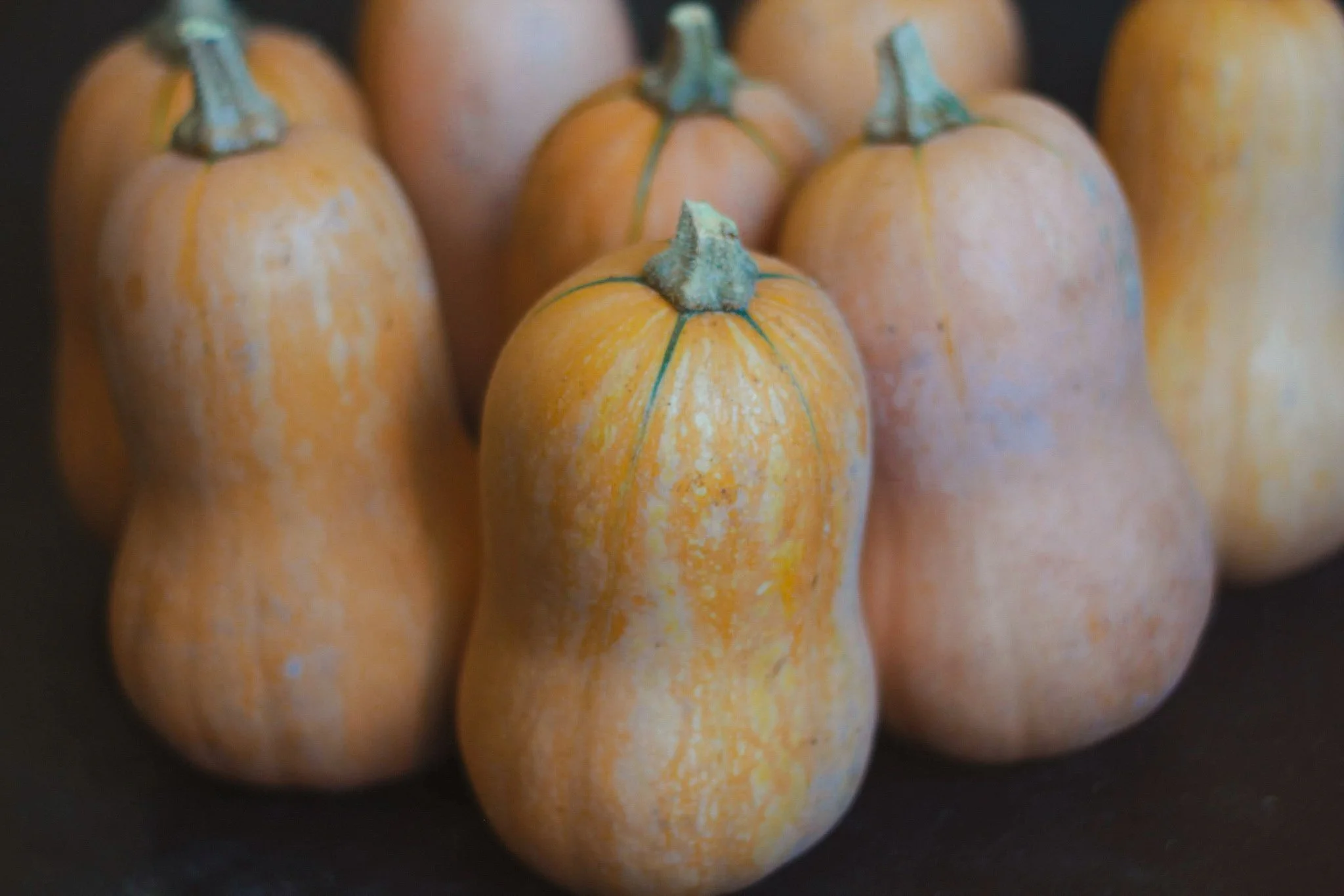 All Hail The Honeynut Squash!