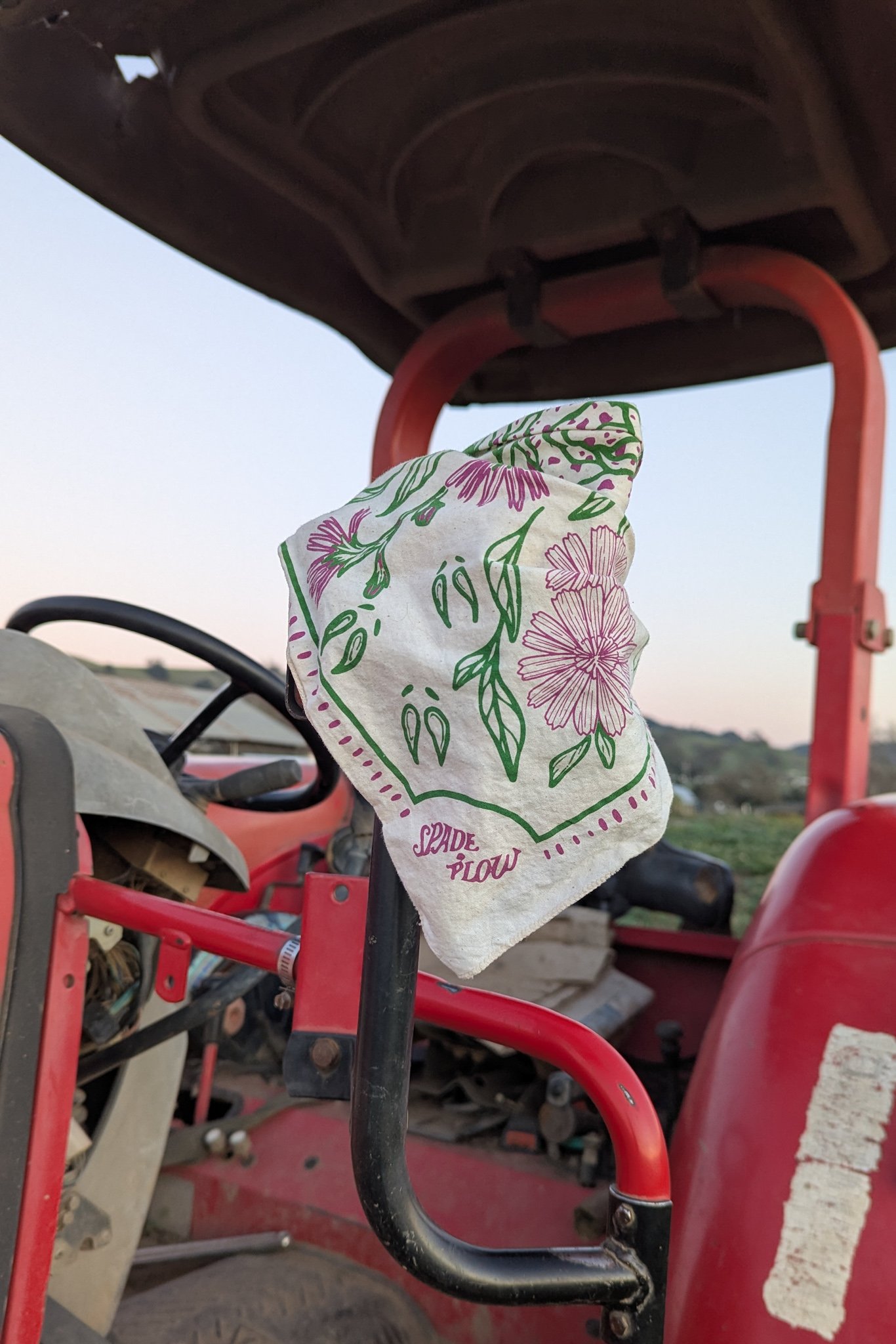 Barn Bandana
