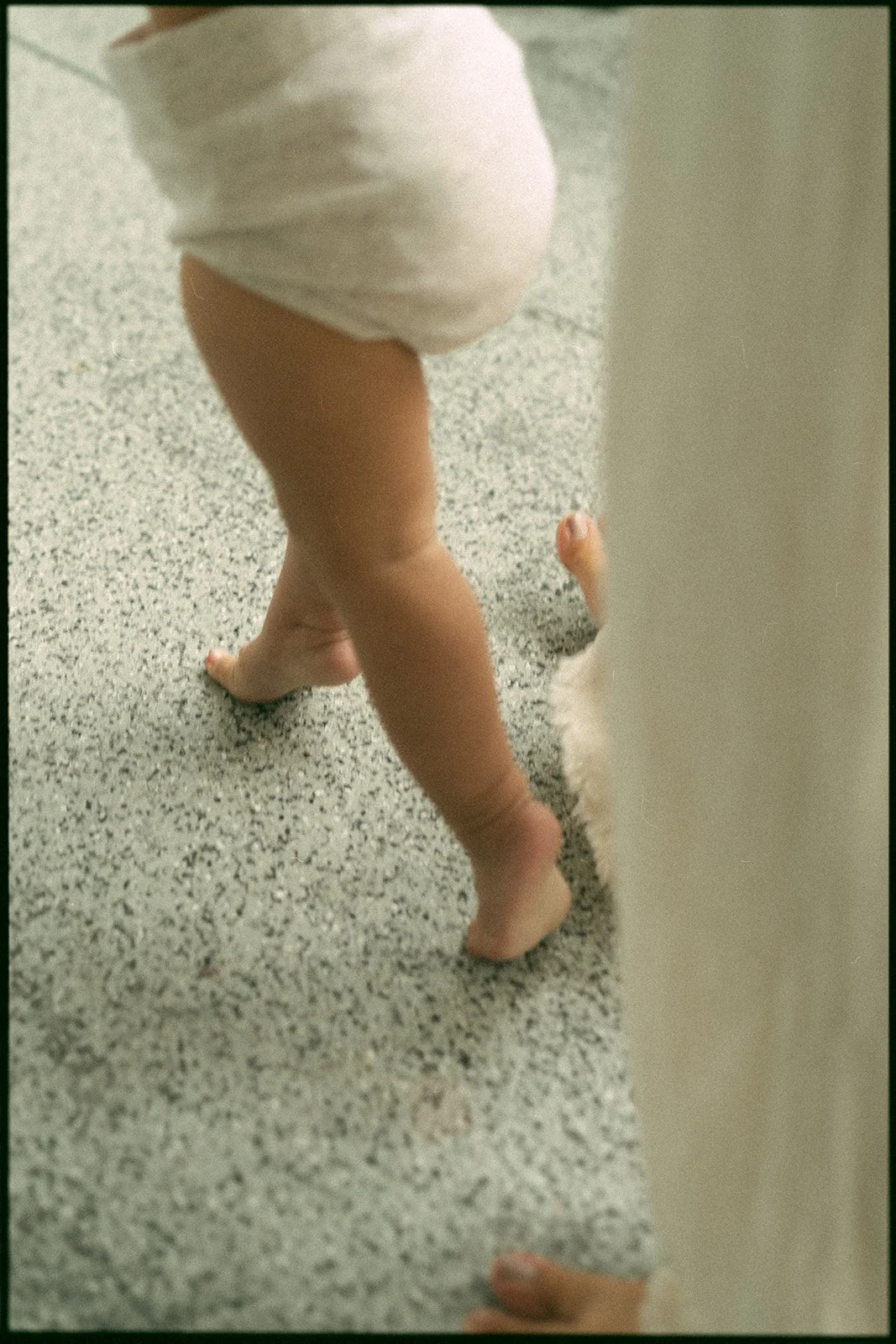 Sarah-81_websize.jpg