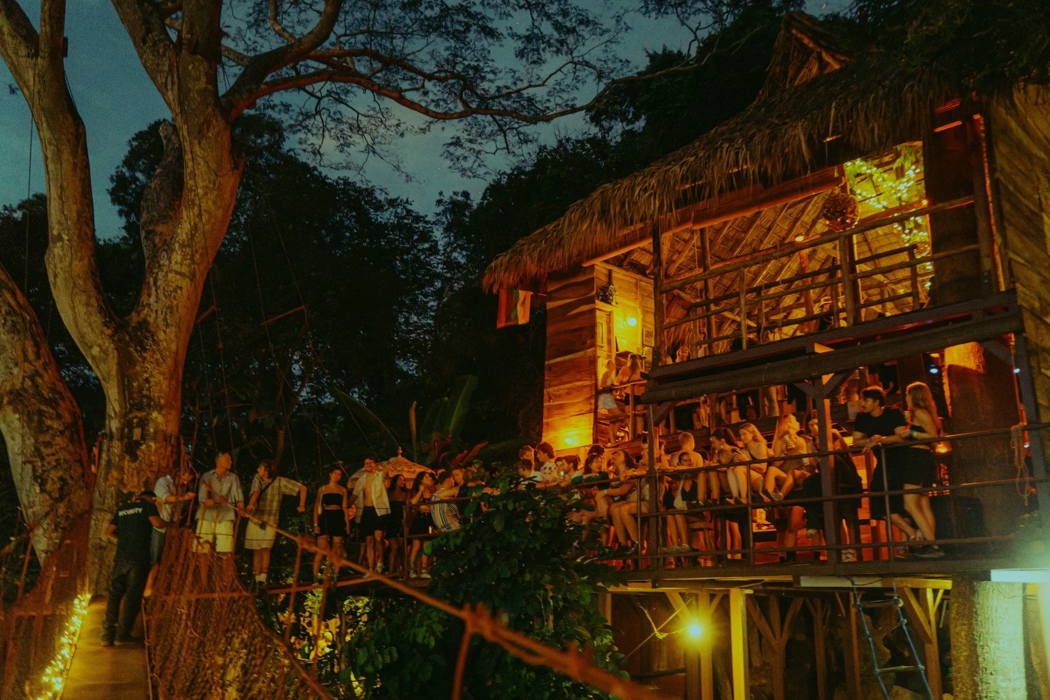 Making friends in Treehouses 🧡🏡