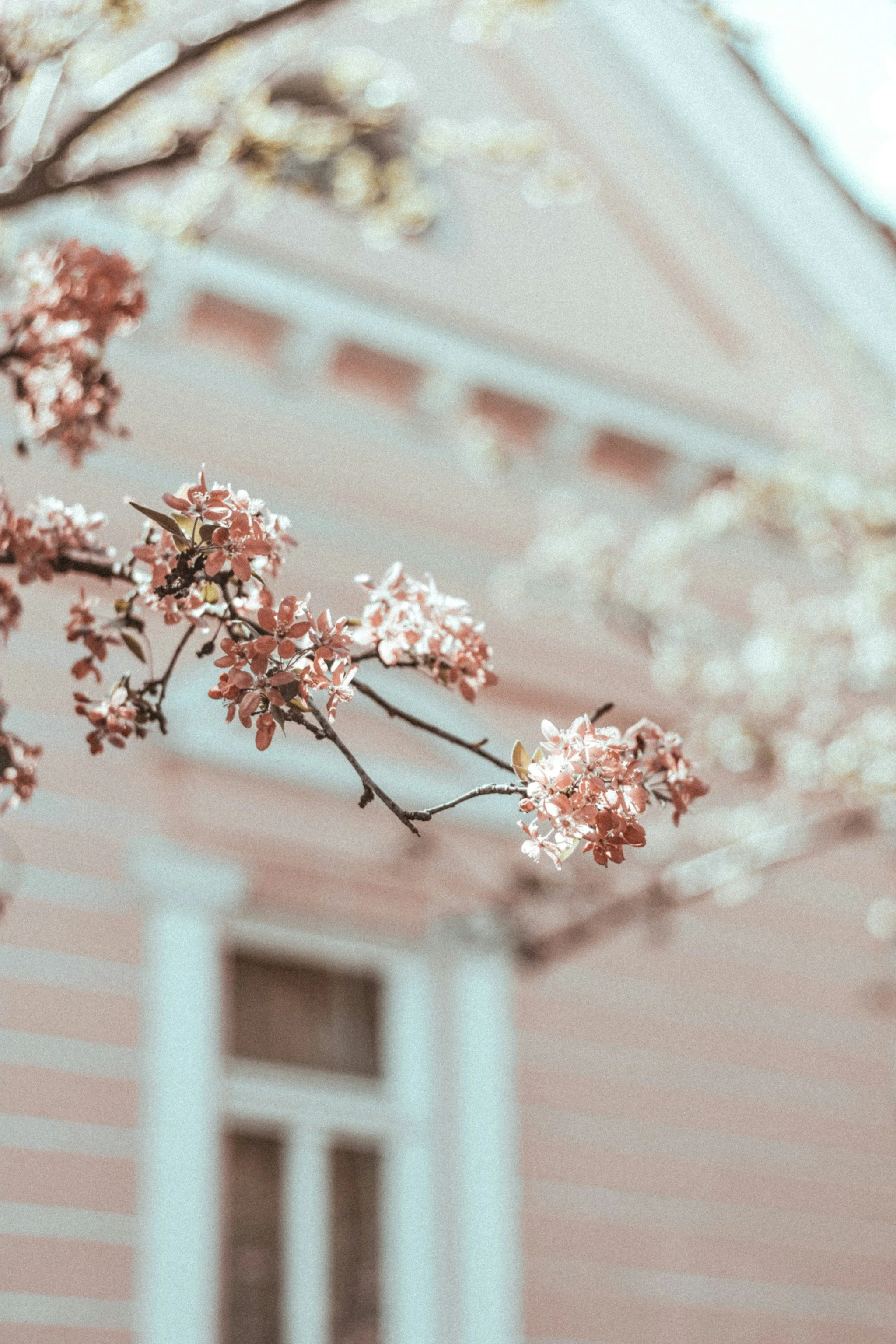 Spring doesn’t start in March. It starts in January.