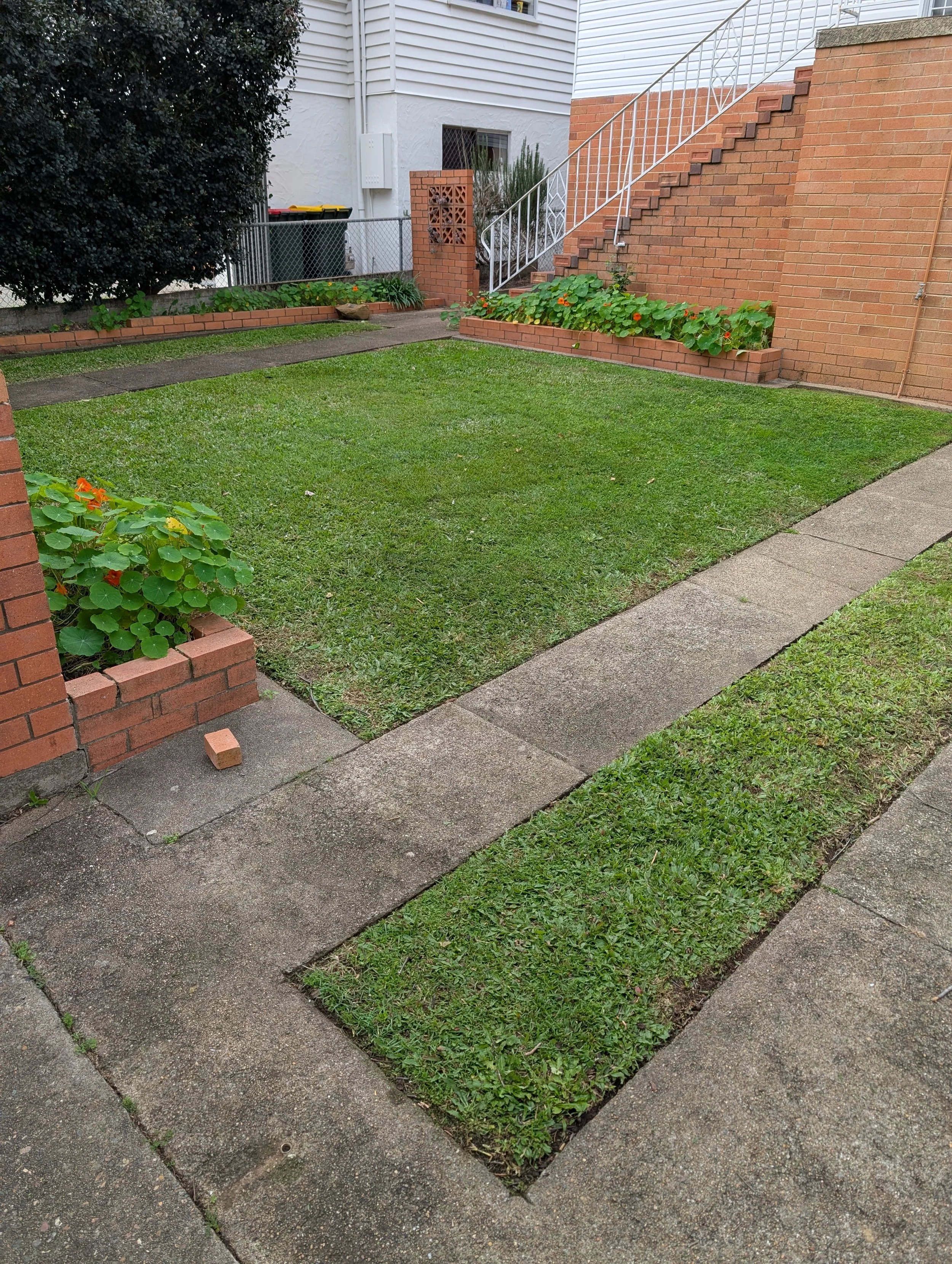 A small backyard with a grass lawn, brick border flowerbeds with green plants and orange flowers, a sidewalk, a brick staircase with white metal railings leading up to a house, a large bush, and trash bins in the background.