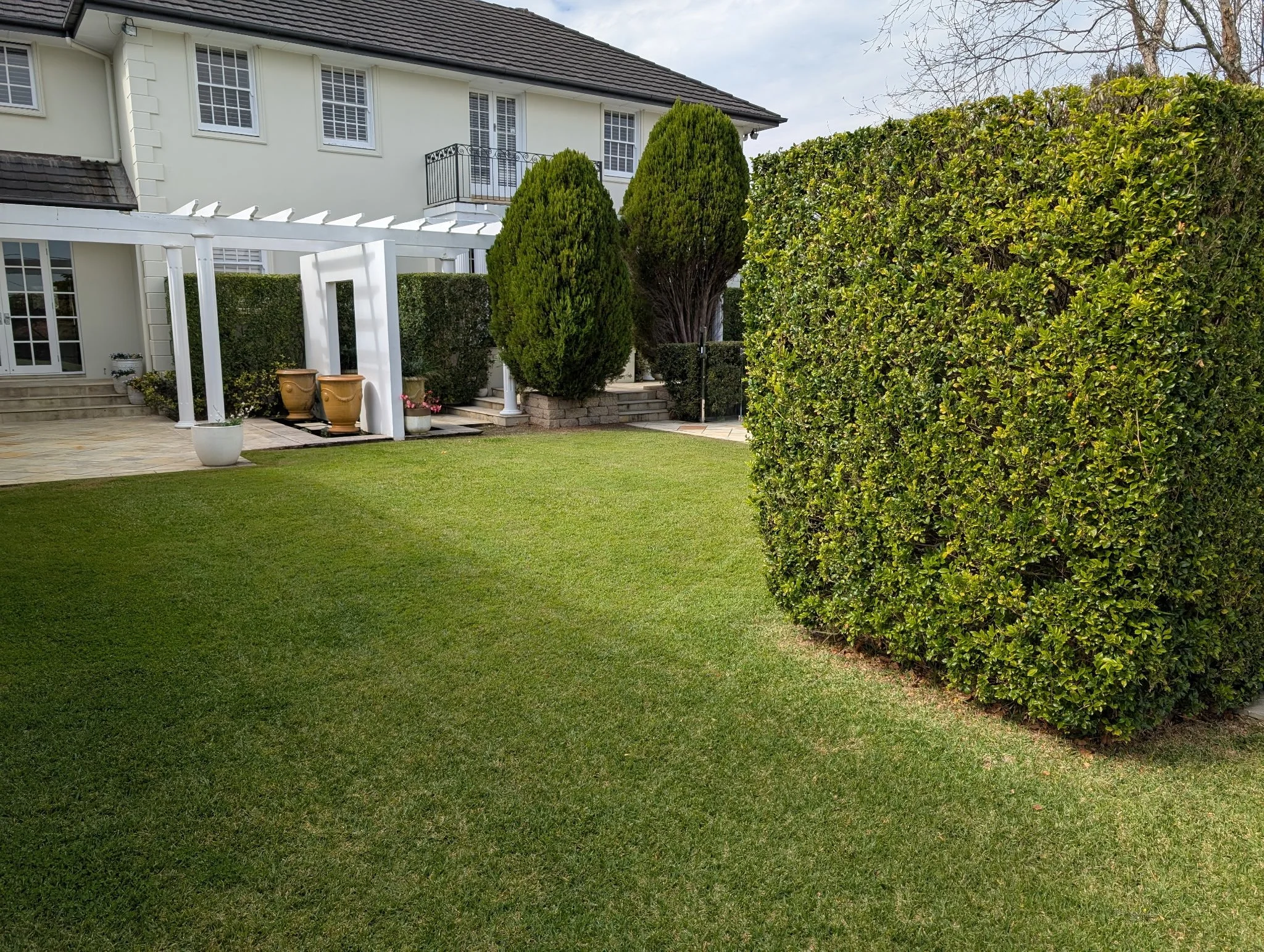 A backyard with a large, well-manicured lawn, surrounded by tall neatly trimmed bushes, with a two-story house featuring white walls and multiple windows in the background.