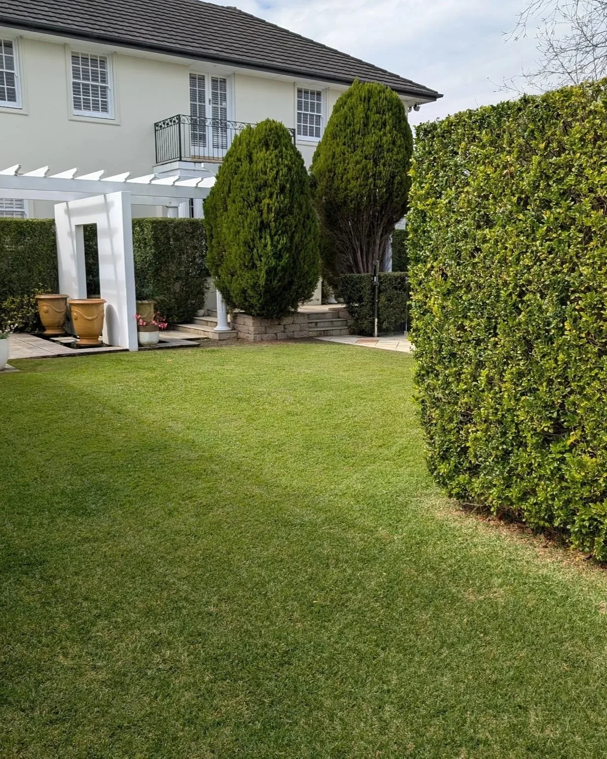 A well-maintained backyard with a lush green perfectly mowed and edged lawn, trimmed hedge, tall bushes, potted plants, and a white pergola near the house with a small paved area and steps leading up to the house.