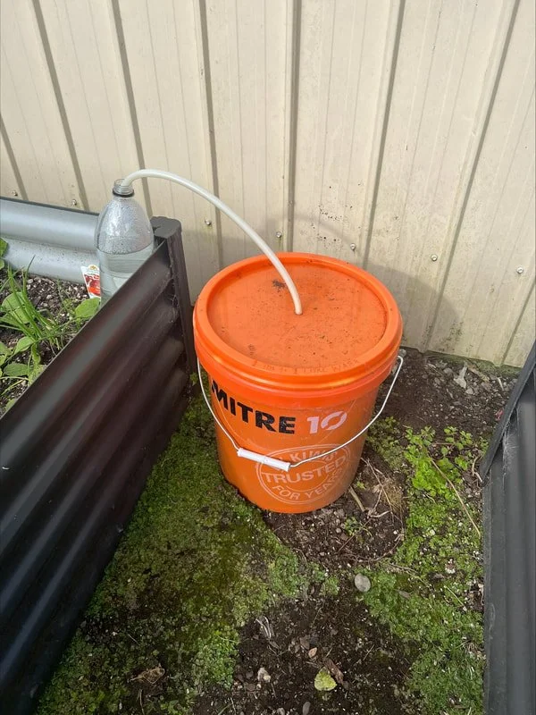 Para Ika: Whānau innovation in action