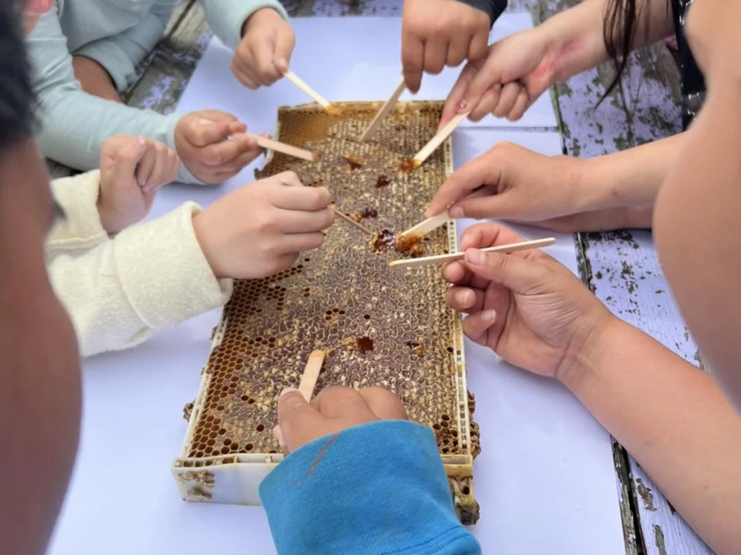 Te mana o ngā pūrākau