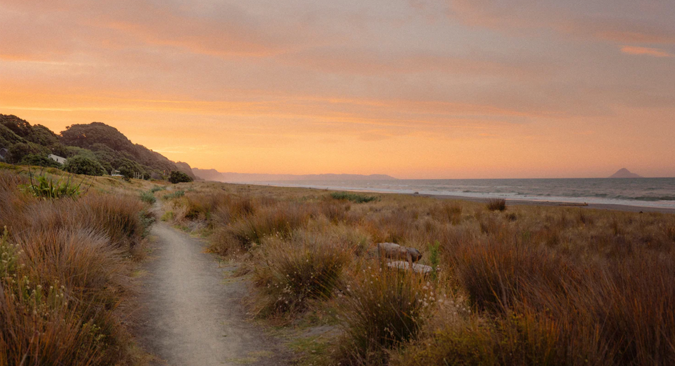 Shaping Safer Alcohol Environments in Ōpōtiki&nbsp;&nbsp;