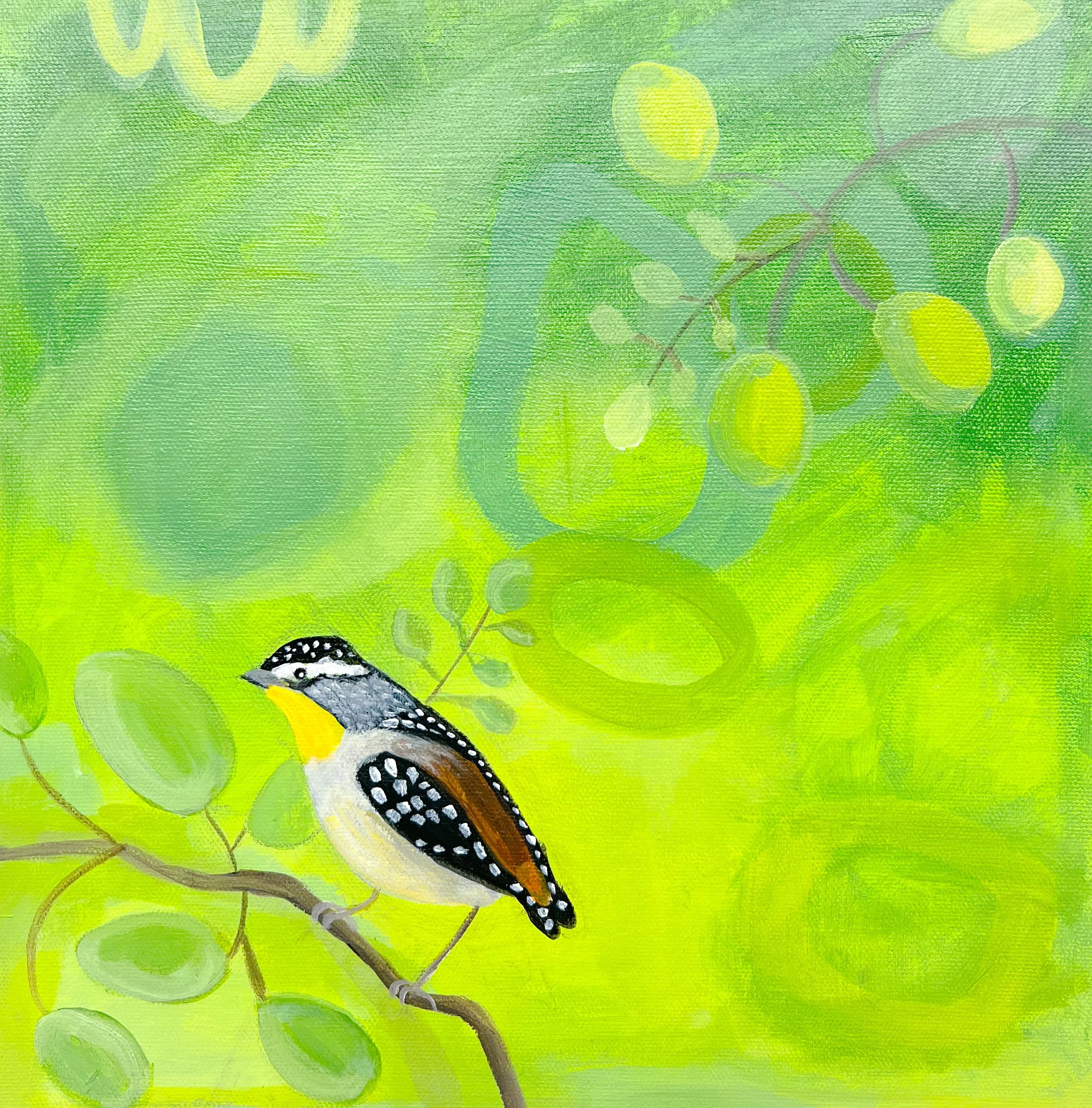 Little Pardalote - small bird in green leafs