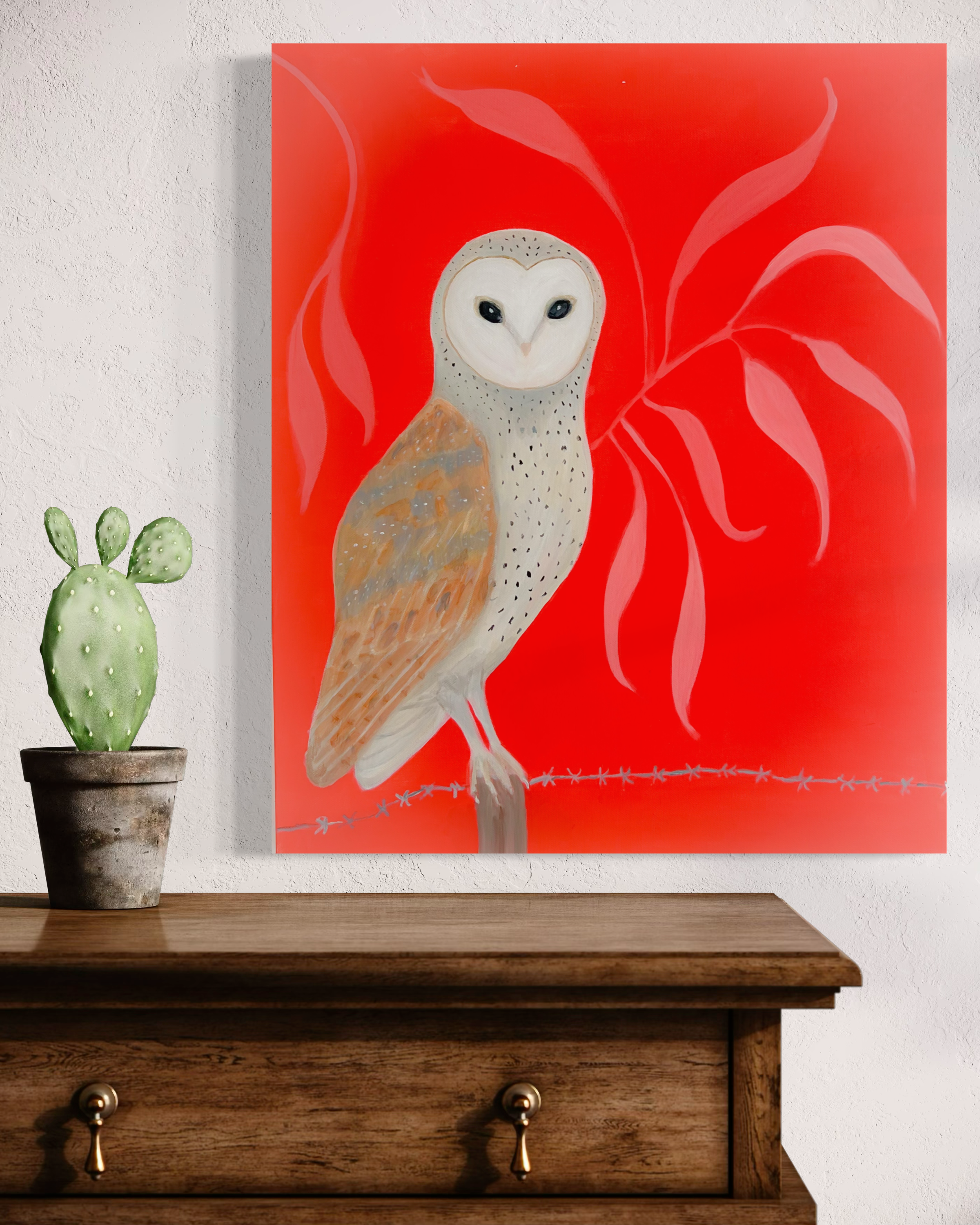 Barn Owl