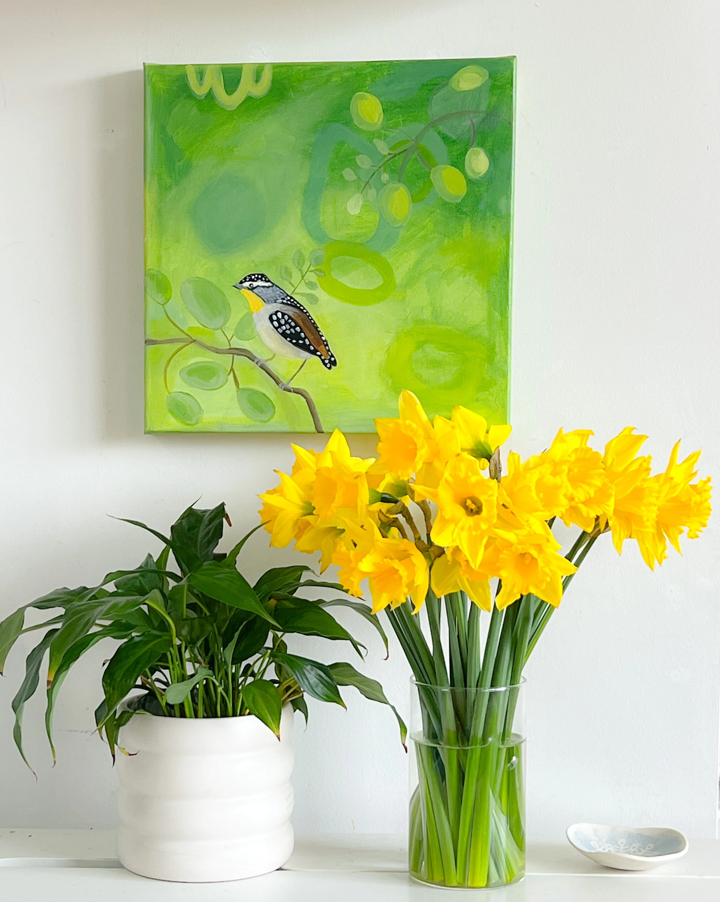 Little Pardalote