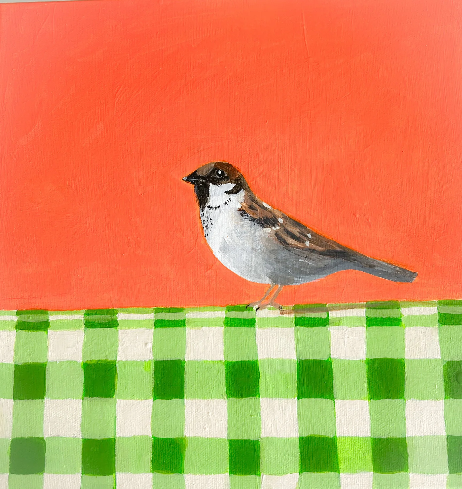 Sweet sparrow on tablecloth with red background