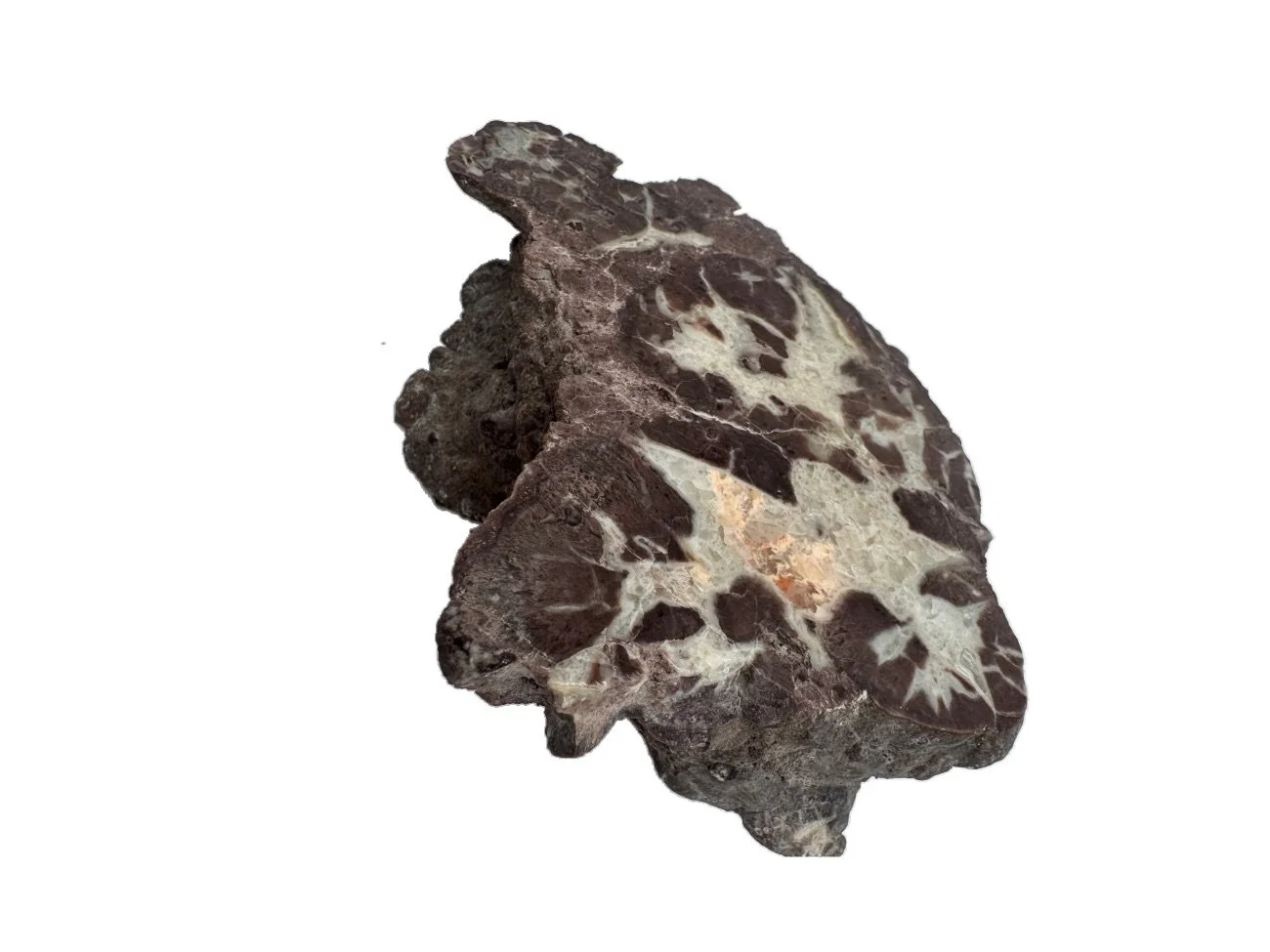 Florescent Orange Poop, Dino Poop, Coprolite