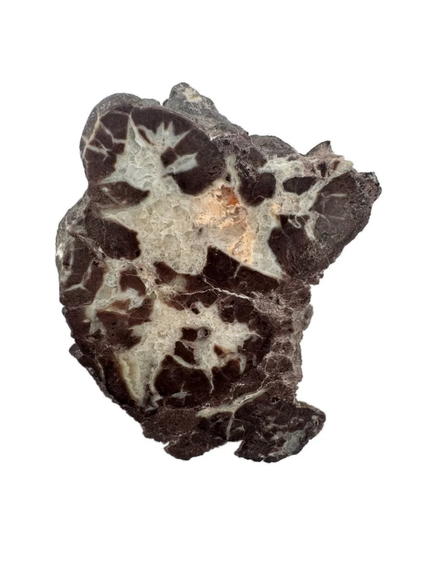 Florescent Orange Poop, Dino Poop, Coprolite