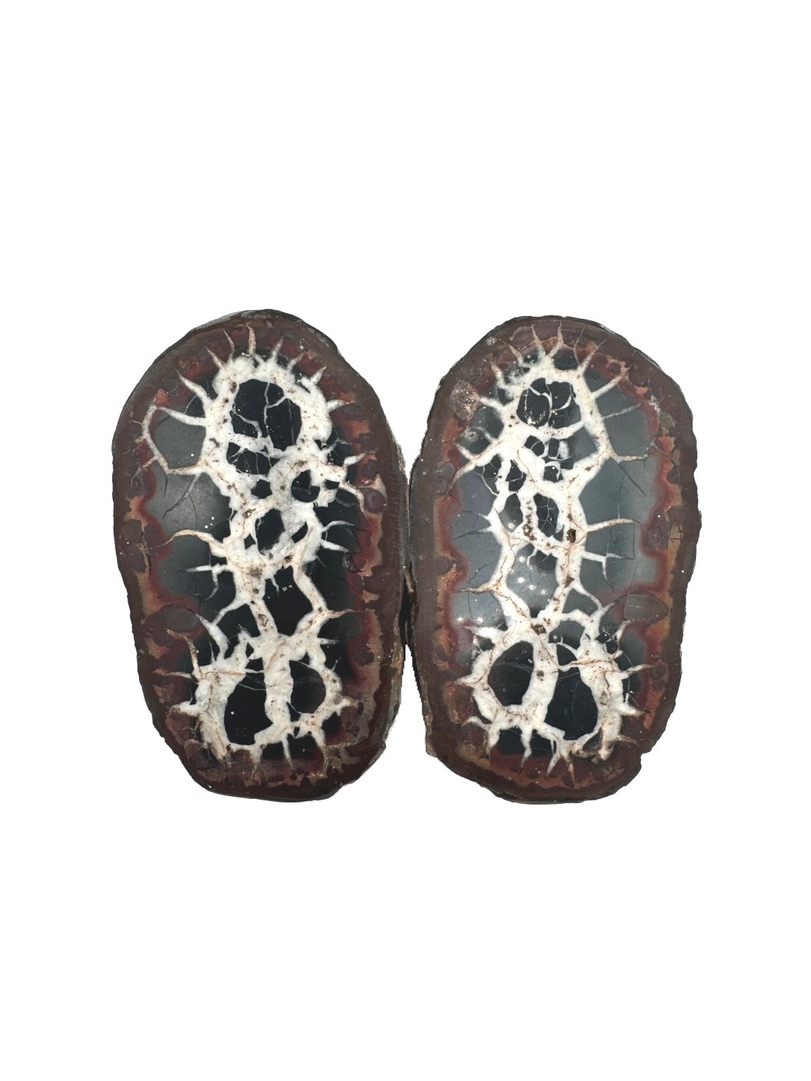 Septarian_D.1.jpg