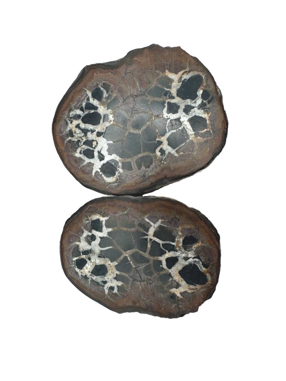 Septarian_C.1.jpg