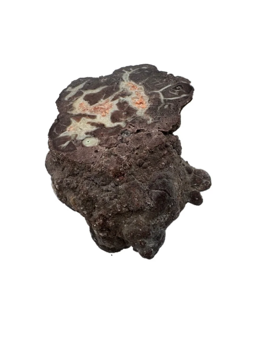 Florescent Orange Poop, Dino Poop, Coprolite