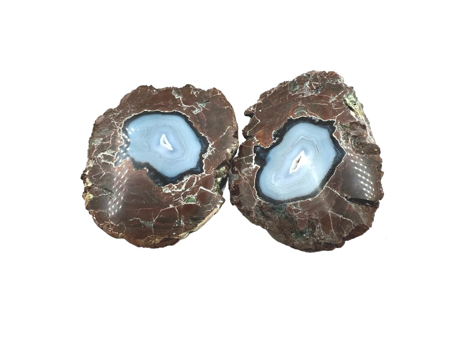 Thunderegg Pair Polished Oregon