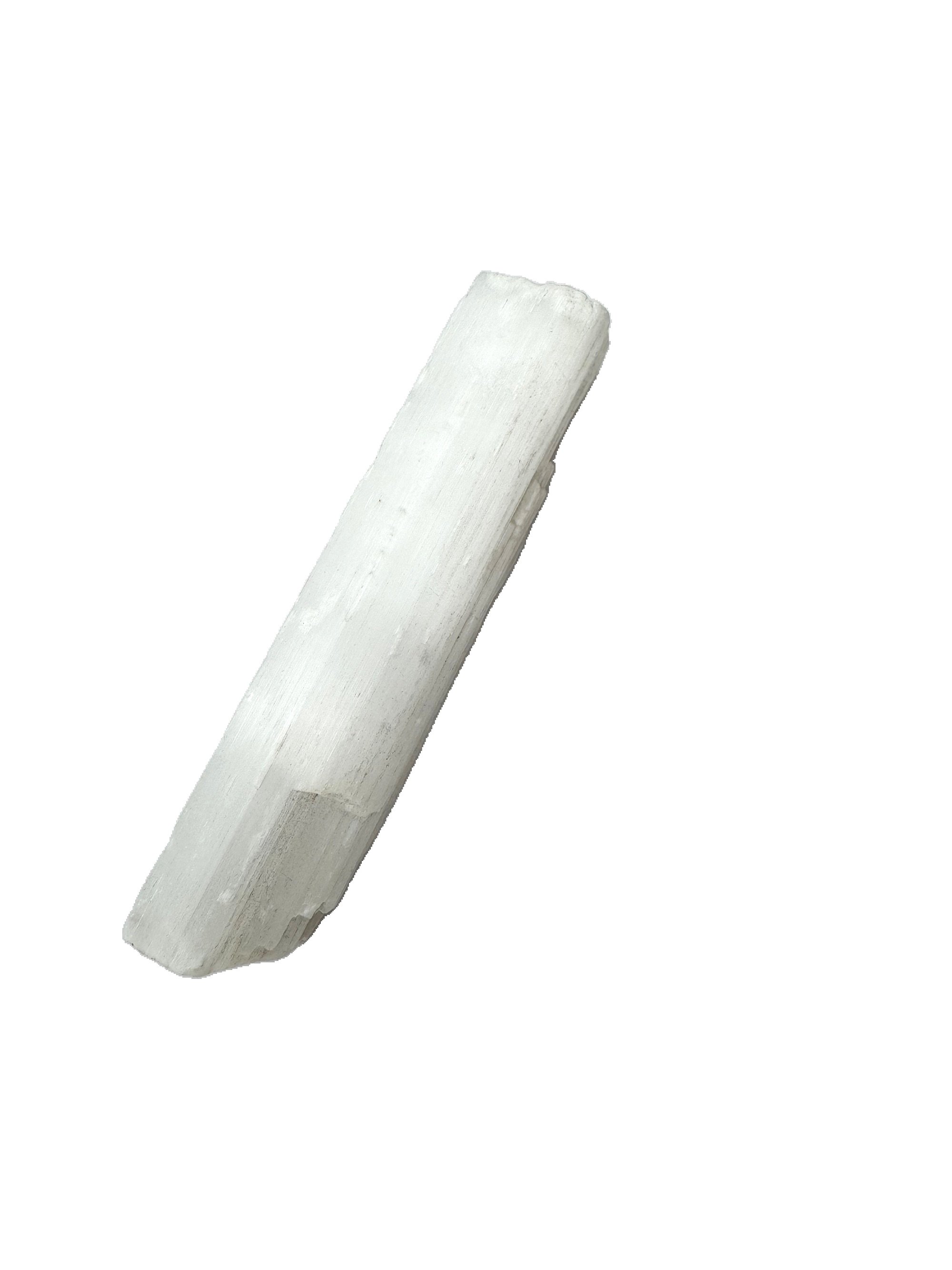 SelStick.a.jpg