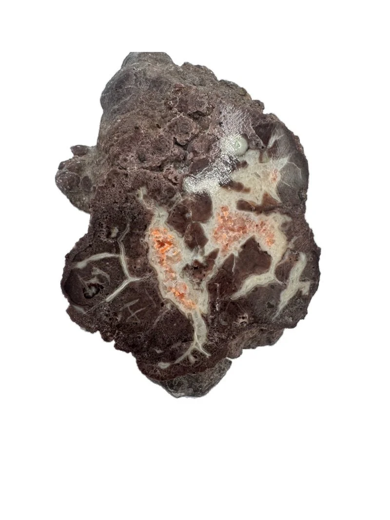 Florescent Orange Poop, Dino Poop, Coprolite