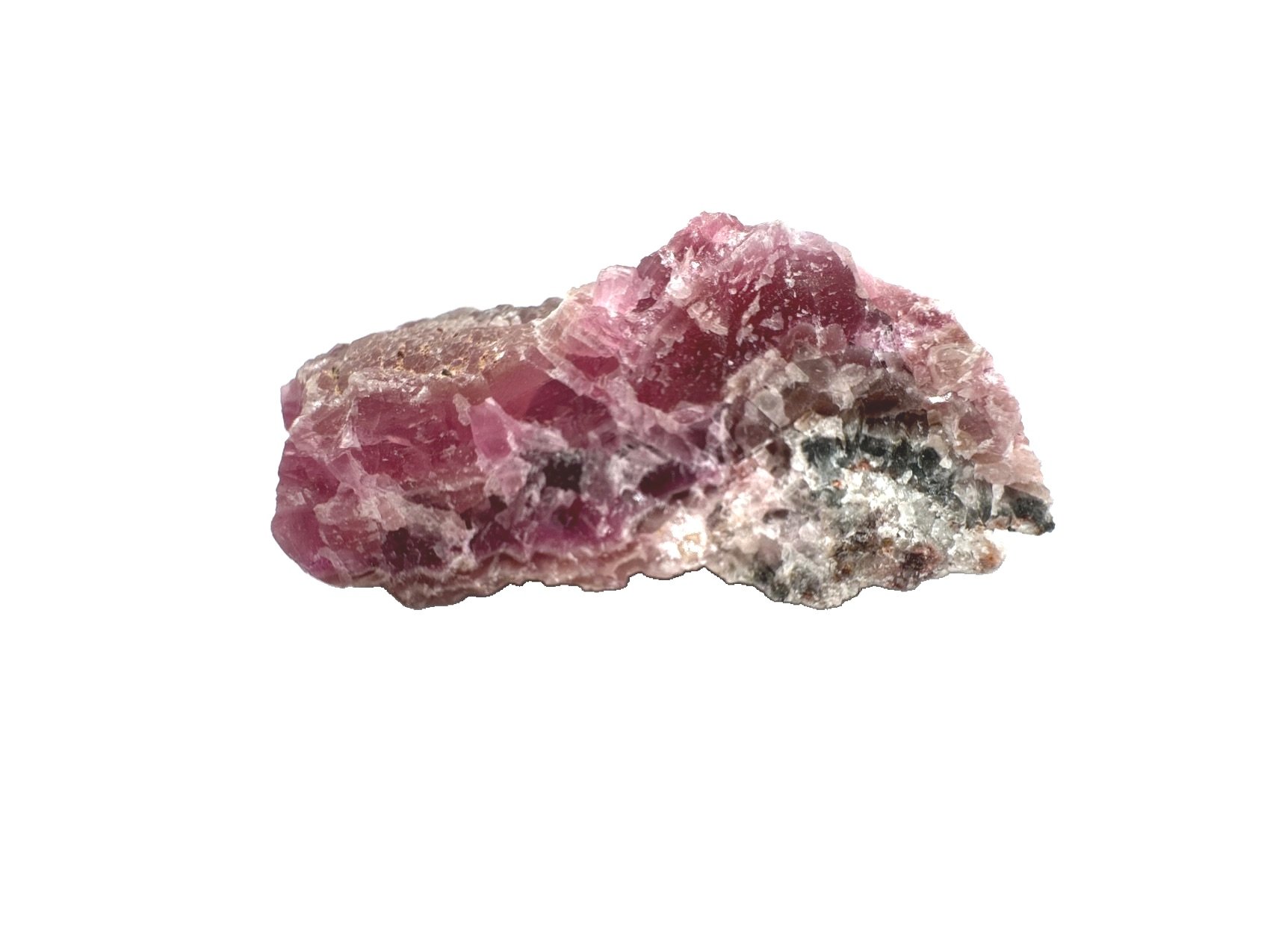 PinkD.1.jpg