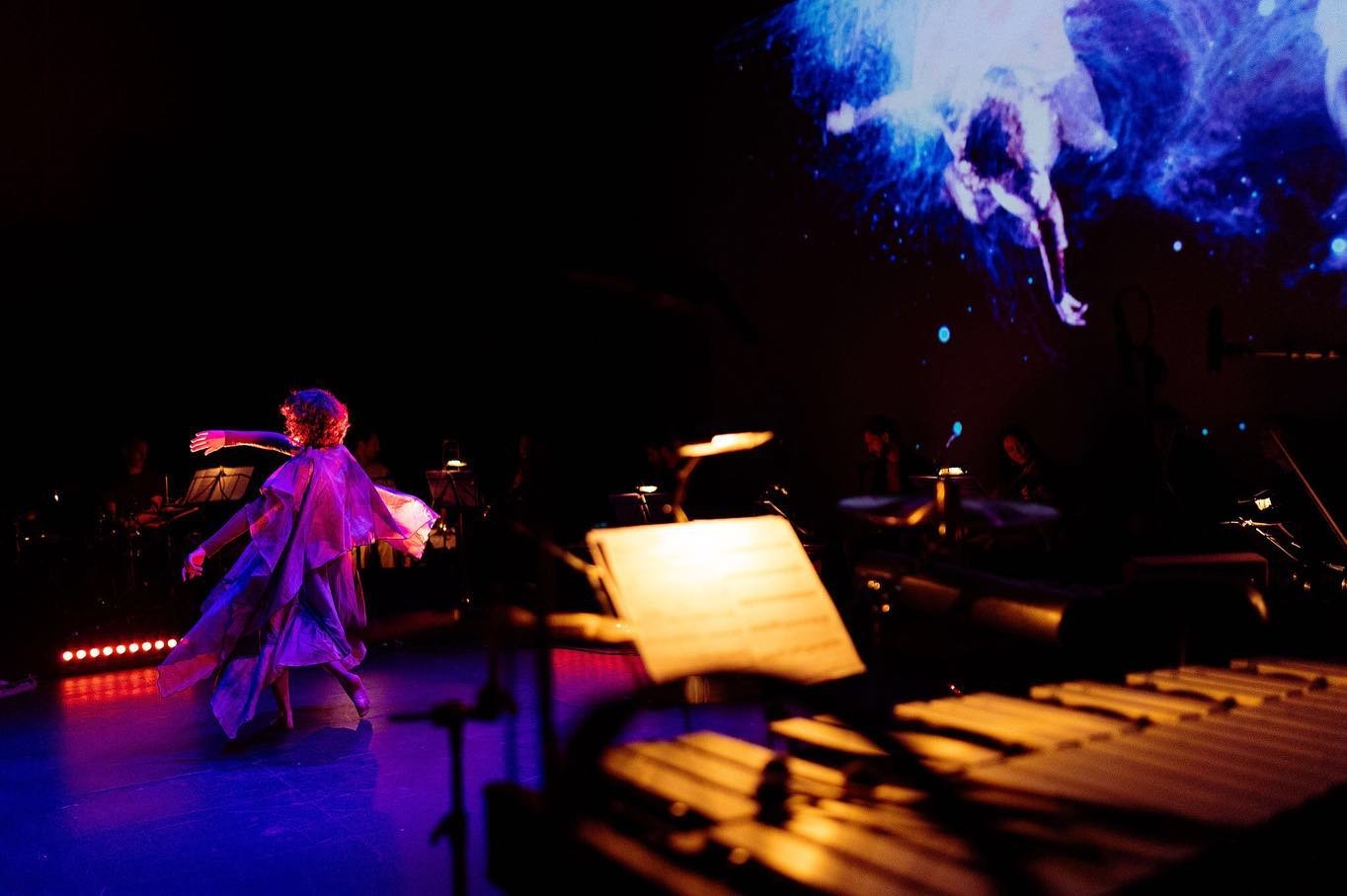 Spring is definitely on its way and we are swooping into April with some very exciting news coming this Friday&hellip;
#newmusic #soundscapeecology #musicandnature #birds #flight