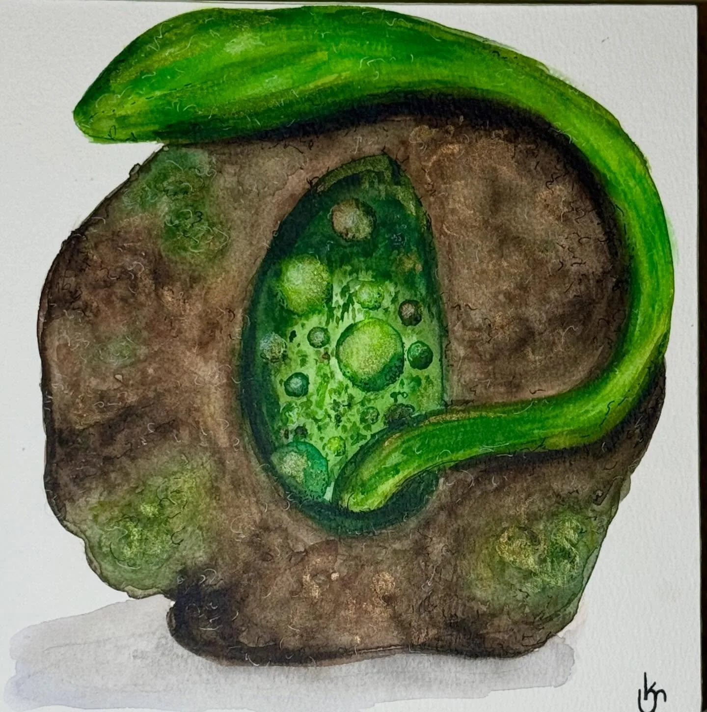 Echo #1 (The Fool) - watercolor (Available) - For the Unearthed series, each felted vessel was accompanied by a watercolor painting which I call an echo. Alluding to Magritte&rsquo;s &ldquo;The Treachery of Images,&rdquo; these echos are just that, t