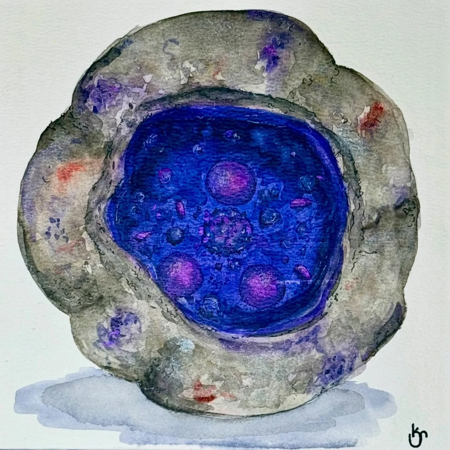 Echo #11 (The Moon) - watercolor (Available) - For the Unearthed series, each felted vessel was accompanied by a watercolor painting which I call an echo. Alluding to Magritte&rsquo;s &ldquo;The Treachery of Images,&rdquo; these echos are just that, 