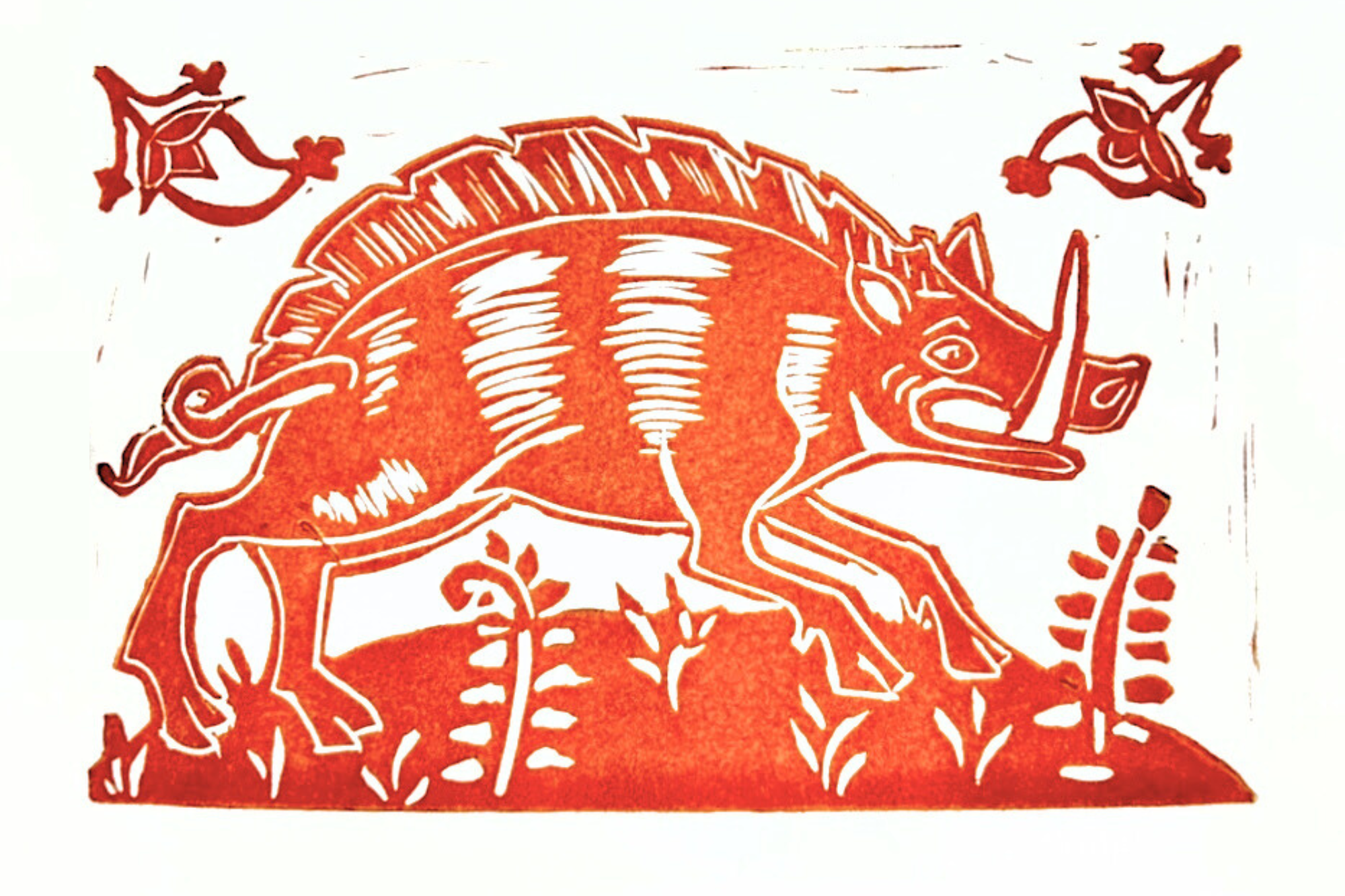 Boar web image.png