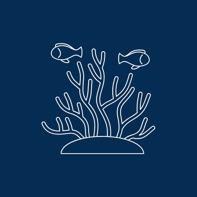 Book your tour staying at Sunhaven Palm Cove .png