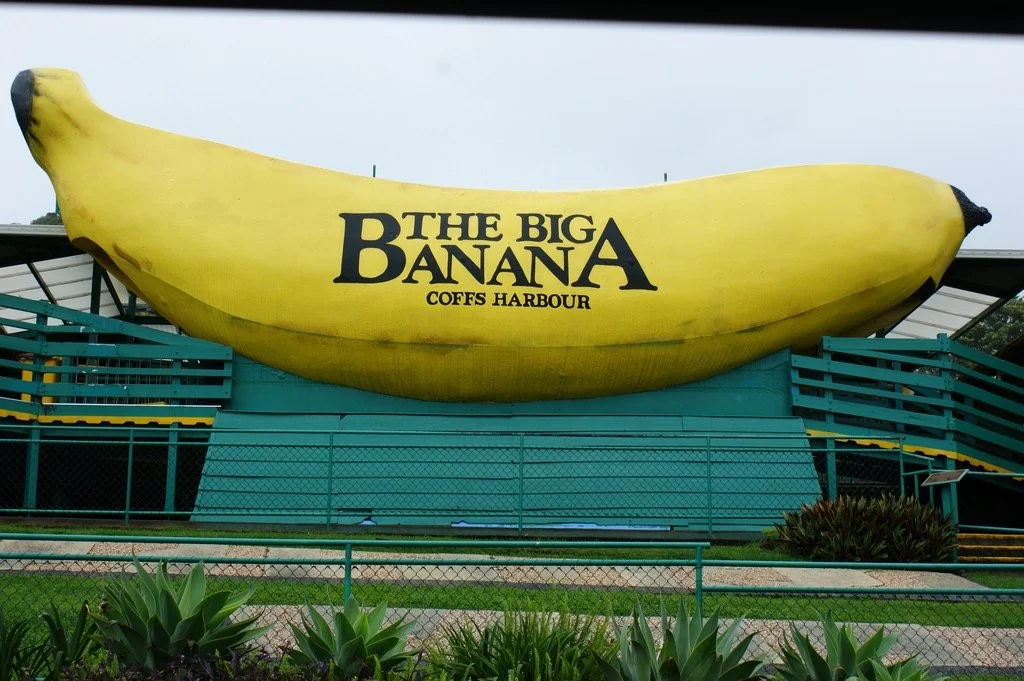 Large banana-shaped building with the text 'The Big Banana Coffs Harbour' written on it, situated outdoors with fencing and plants in the foreground.