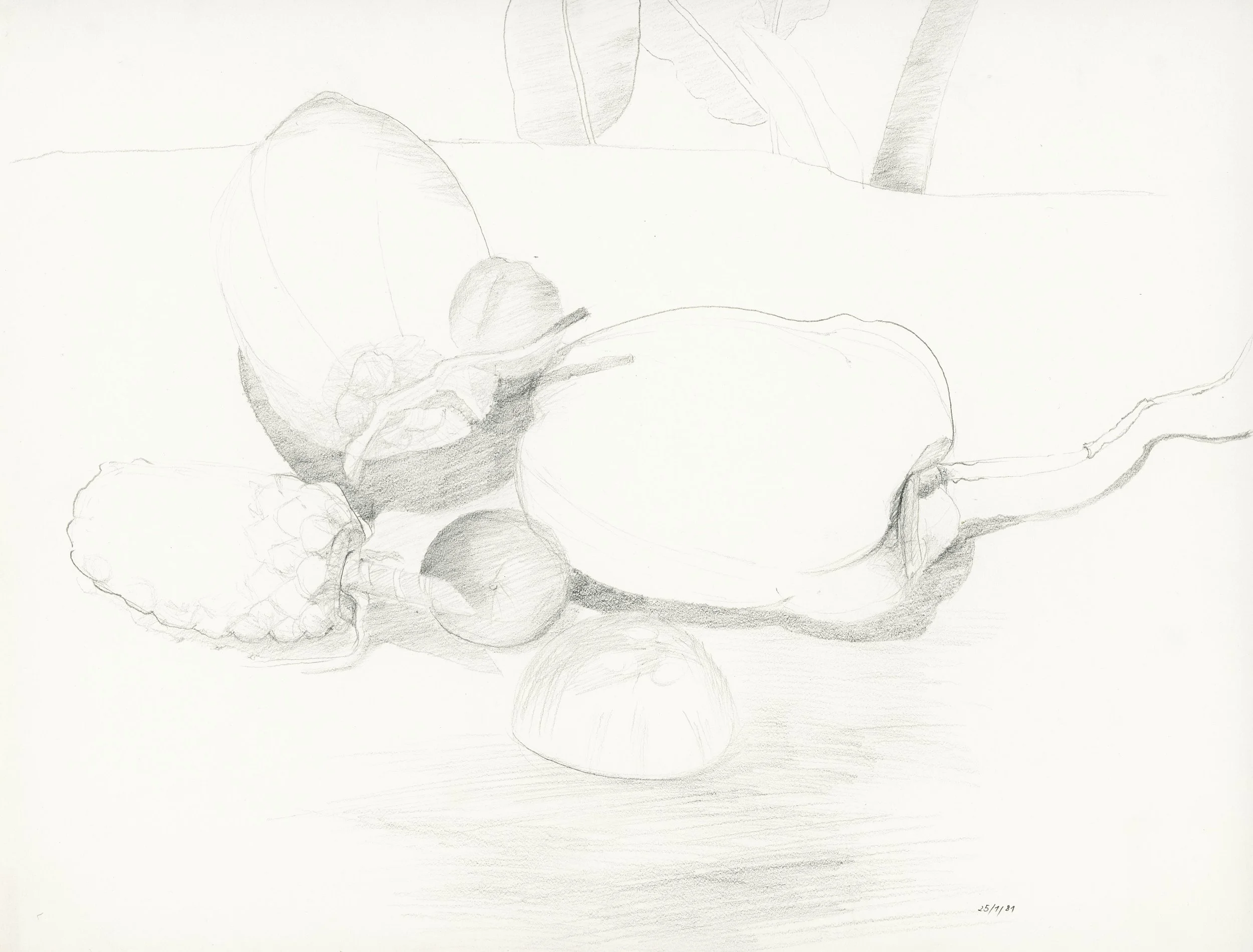 250317_Scheffler_Bleistift (45).jpg