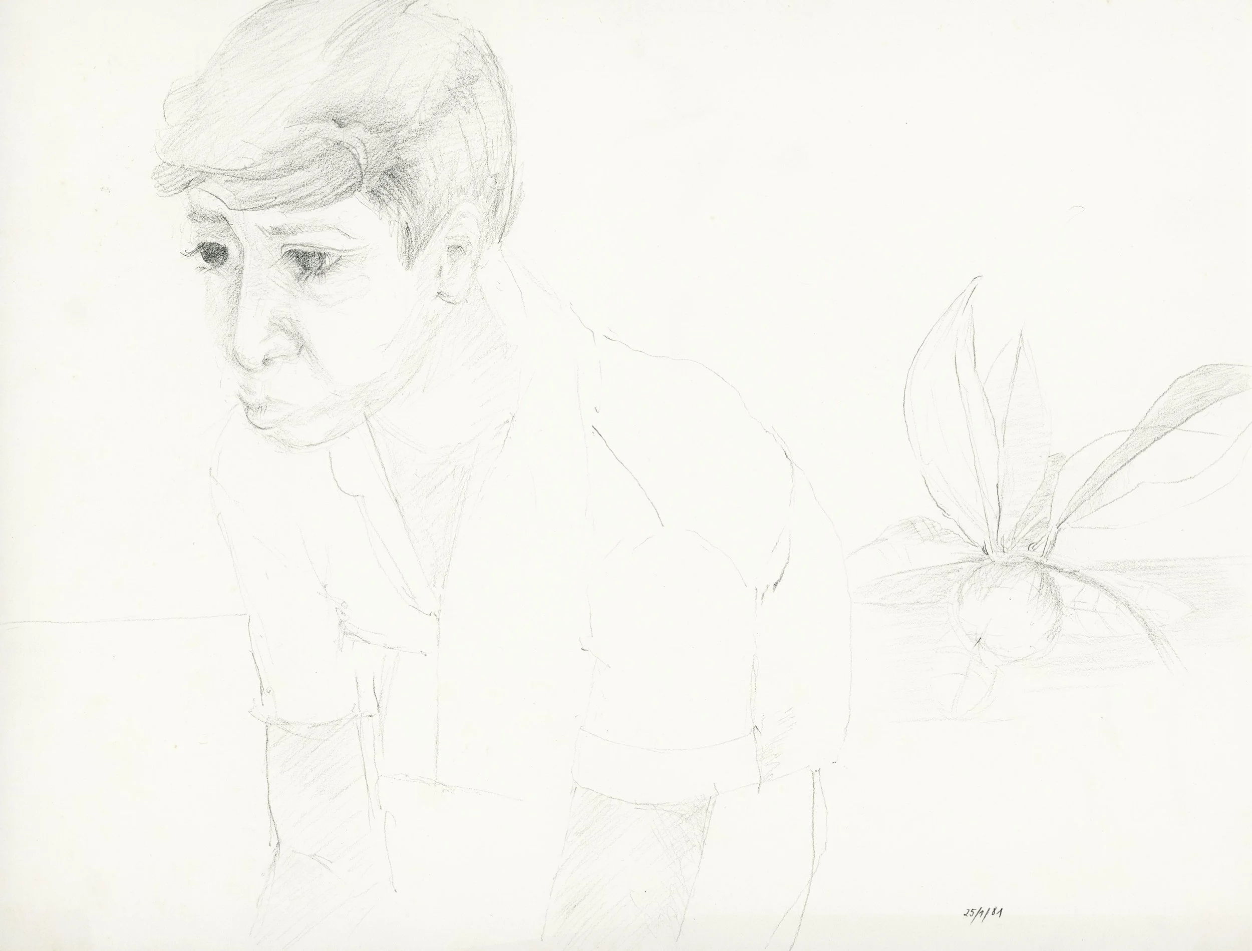 250317_Scheffler_Bleistift (42).jpg