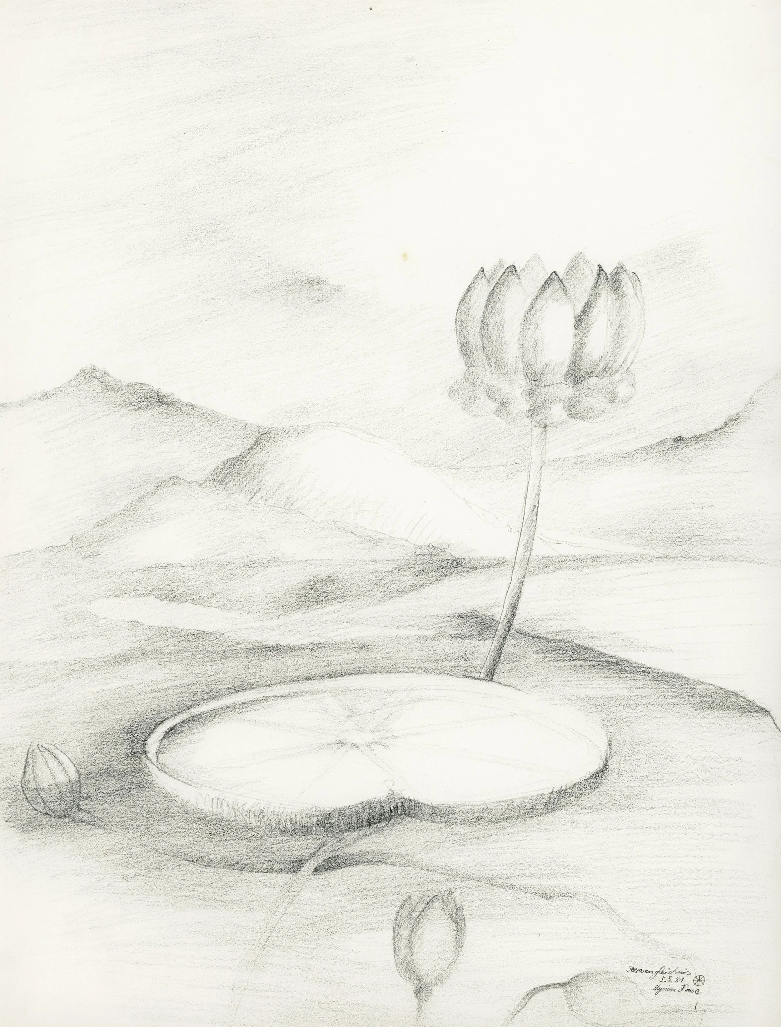 250317_Scheffler_Bleistift (44).jpg