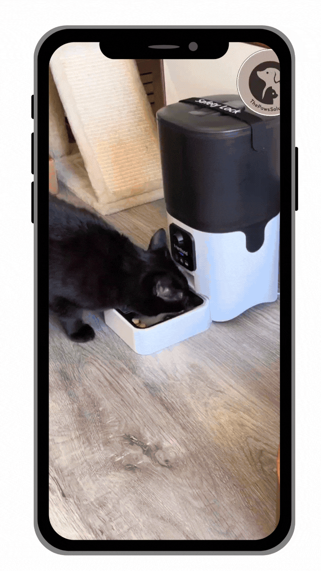 True Tales  IG Stories (3).gif