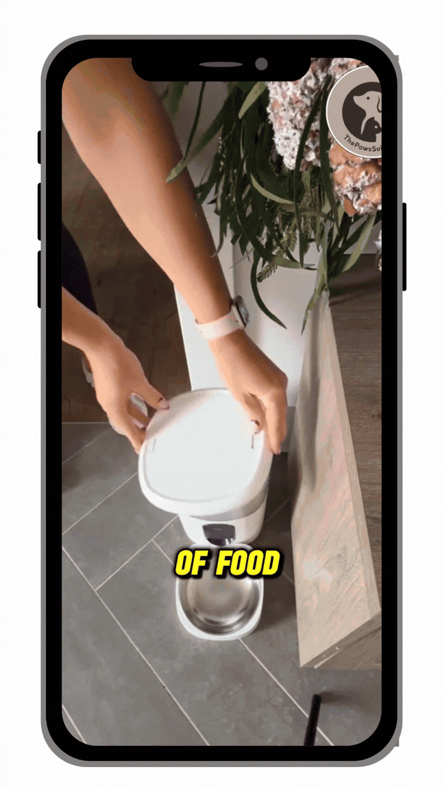 True Tales  IG Stories (21).gif